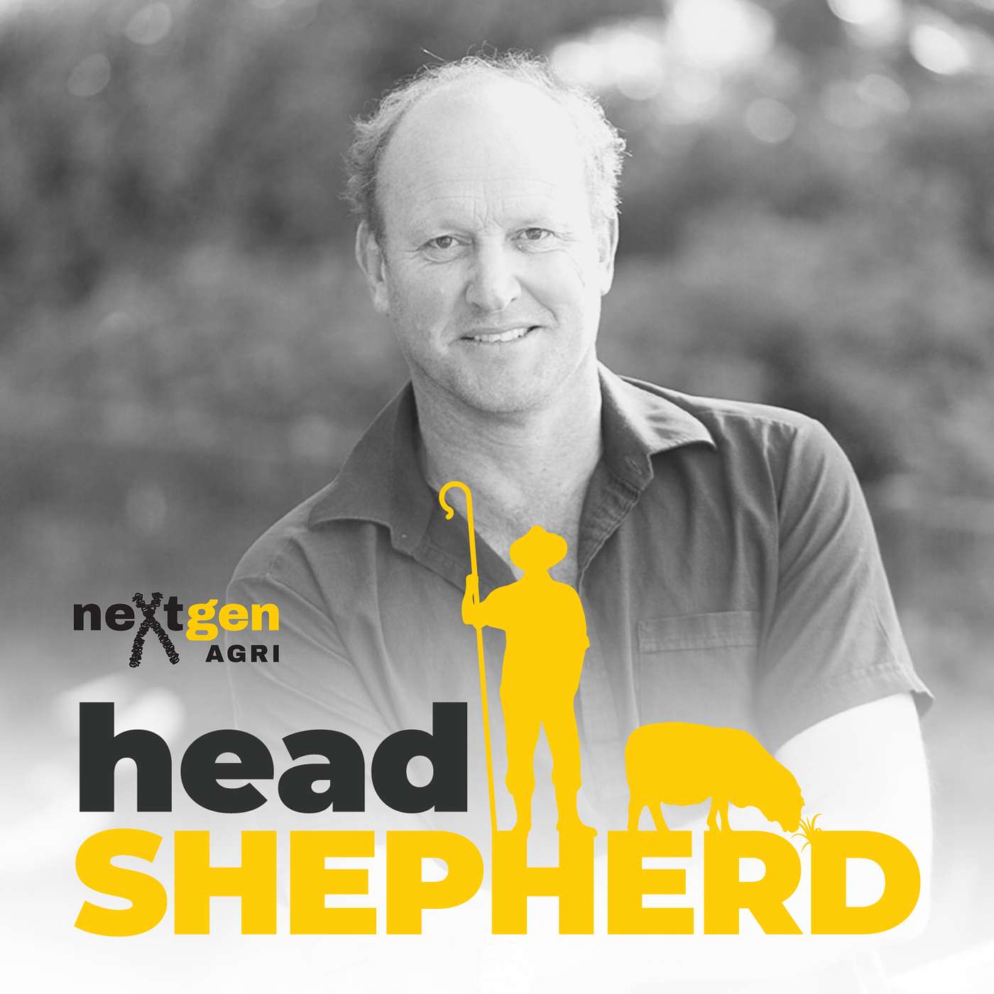 Head Shepherd