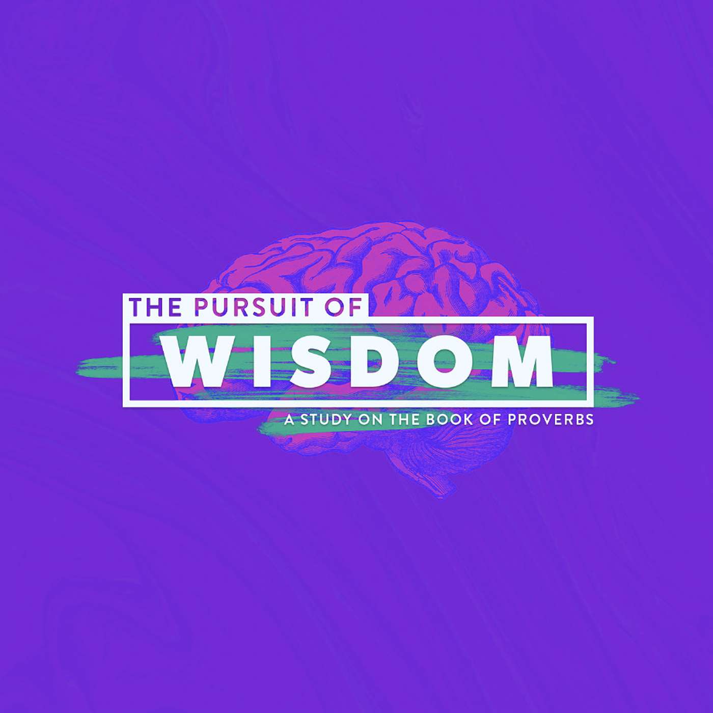 April 7, 2024 The Wisdom of the Proverbs