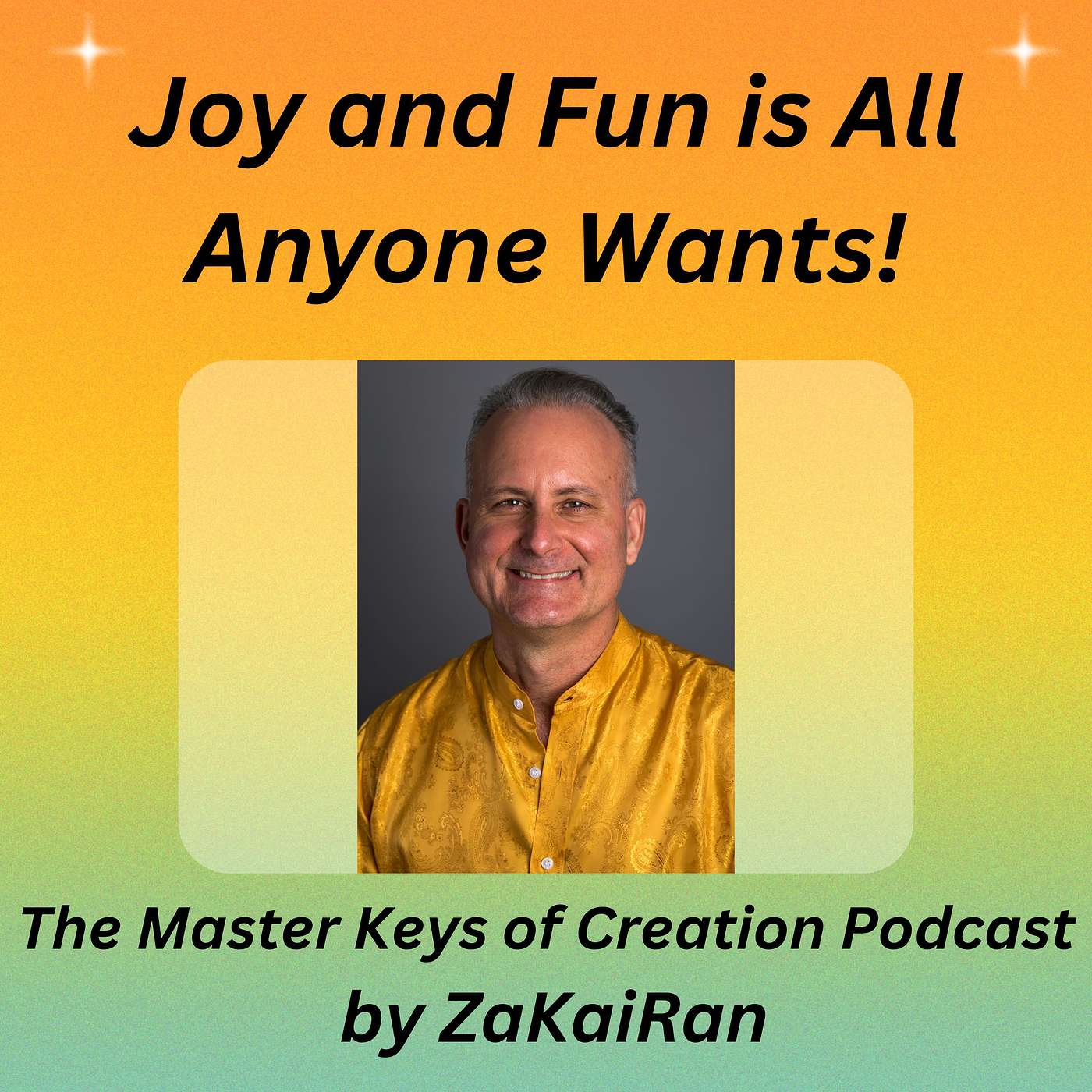 Joy and Fun is All Anyone Wants episode artwork