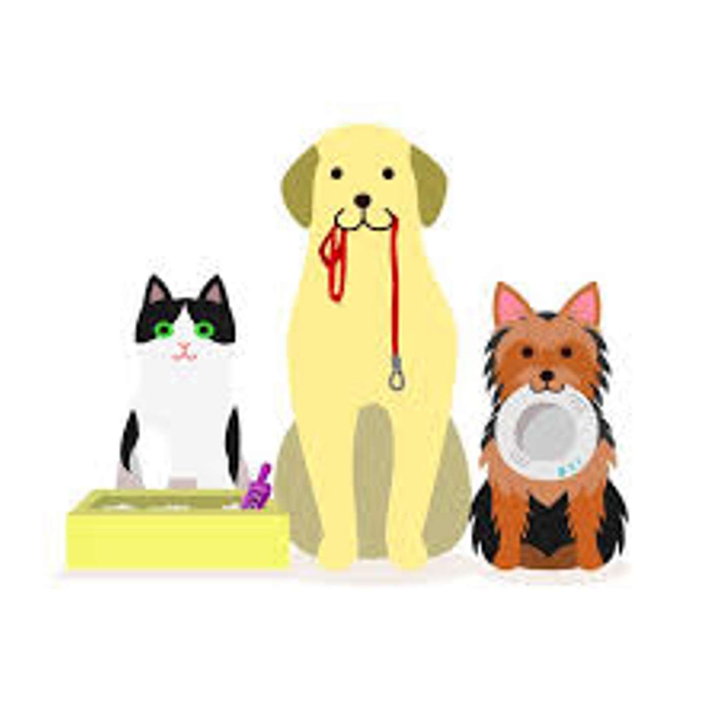 Amici per il pelo, il mondo degli animali visto e raccontato da una veterinaria