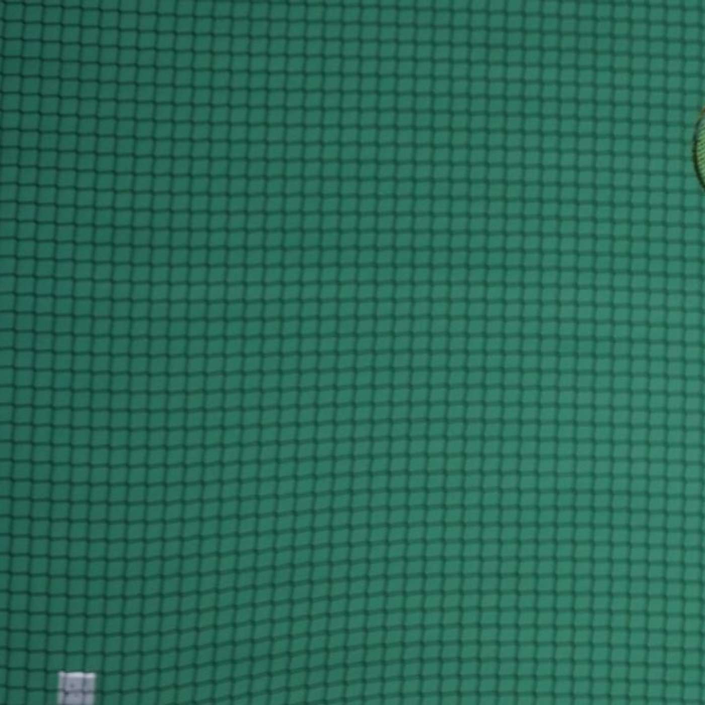 Badminton for Beginners Dubai: Your Ultimate Guide to Starting Strong!