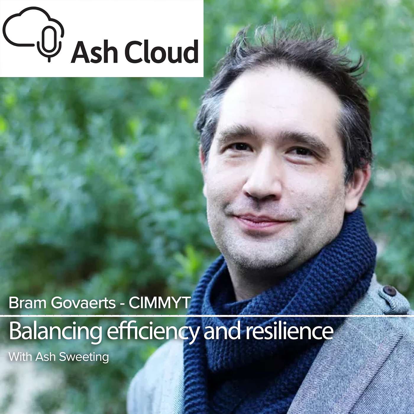 Building resilient agrifood systems across conflict zones and climate stressed regions with Bram Govaerts, CIMMYT episode artwork