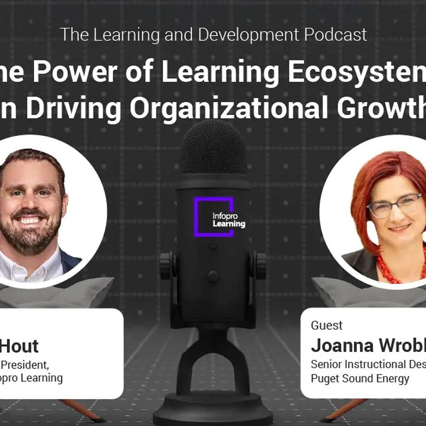 The Power of Learning Ecosystems in Driving Organizational Growth episode artwork