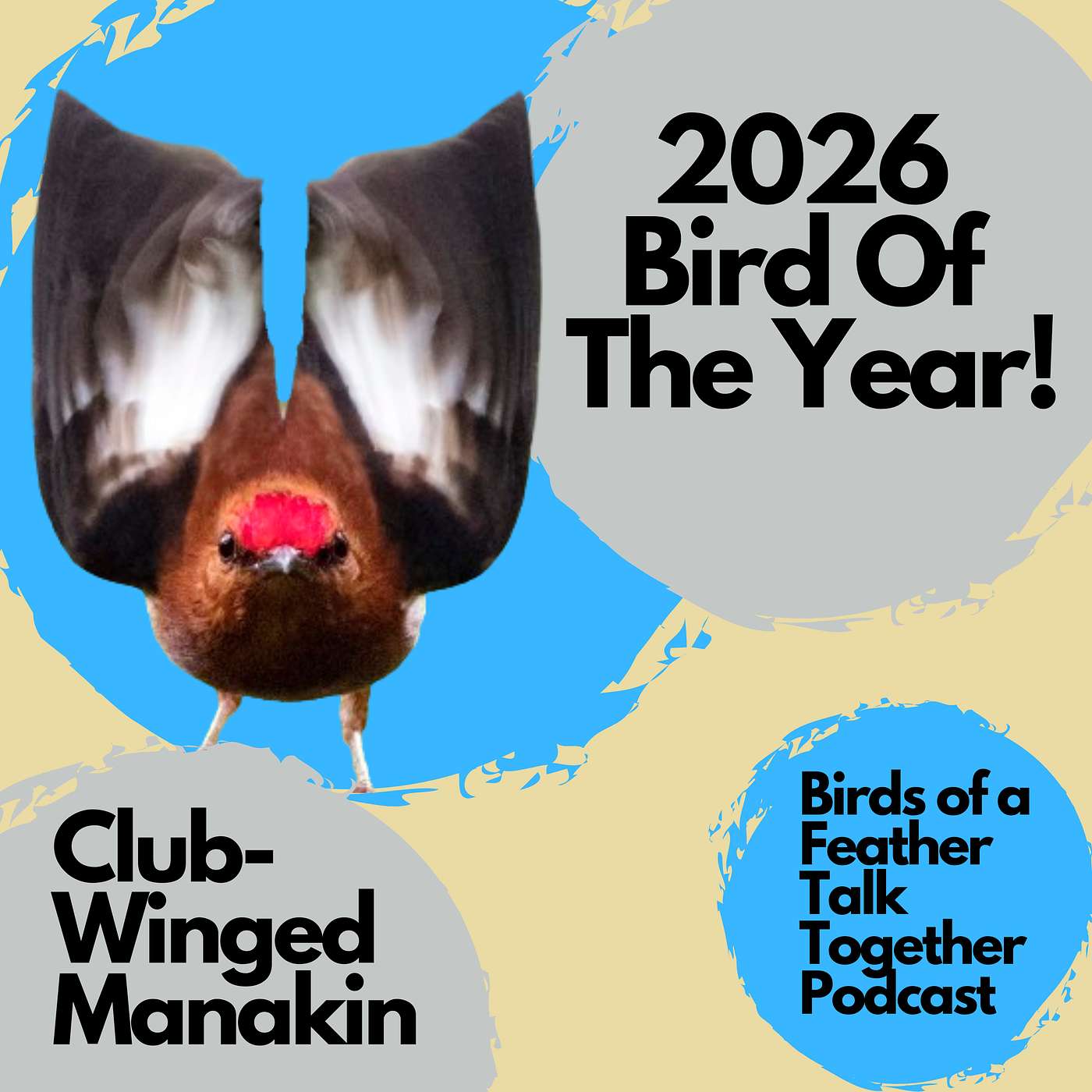 Birds of a Feather Talk Together