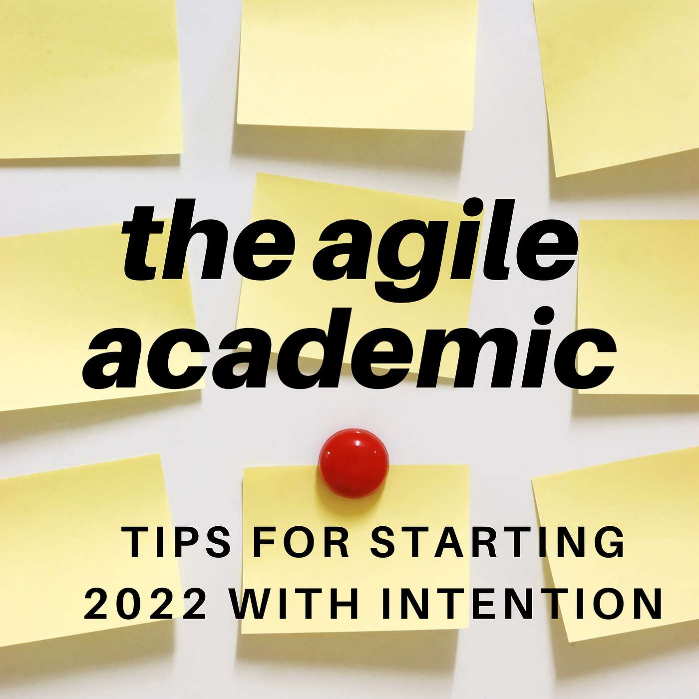 the agile academic