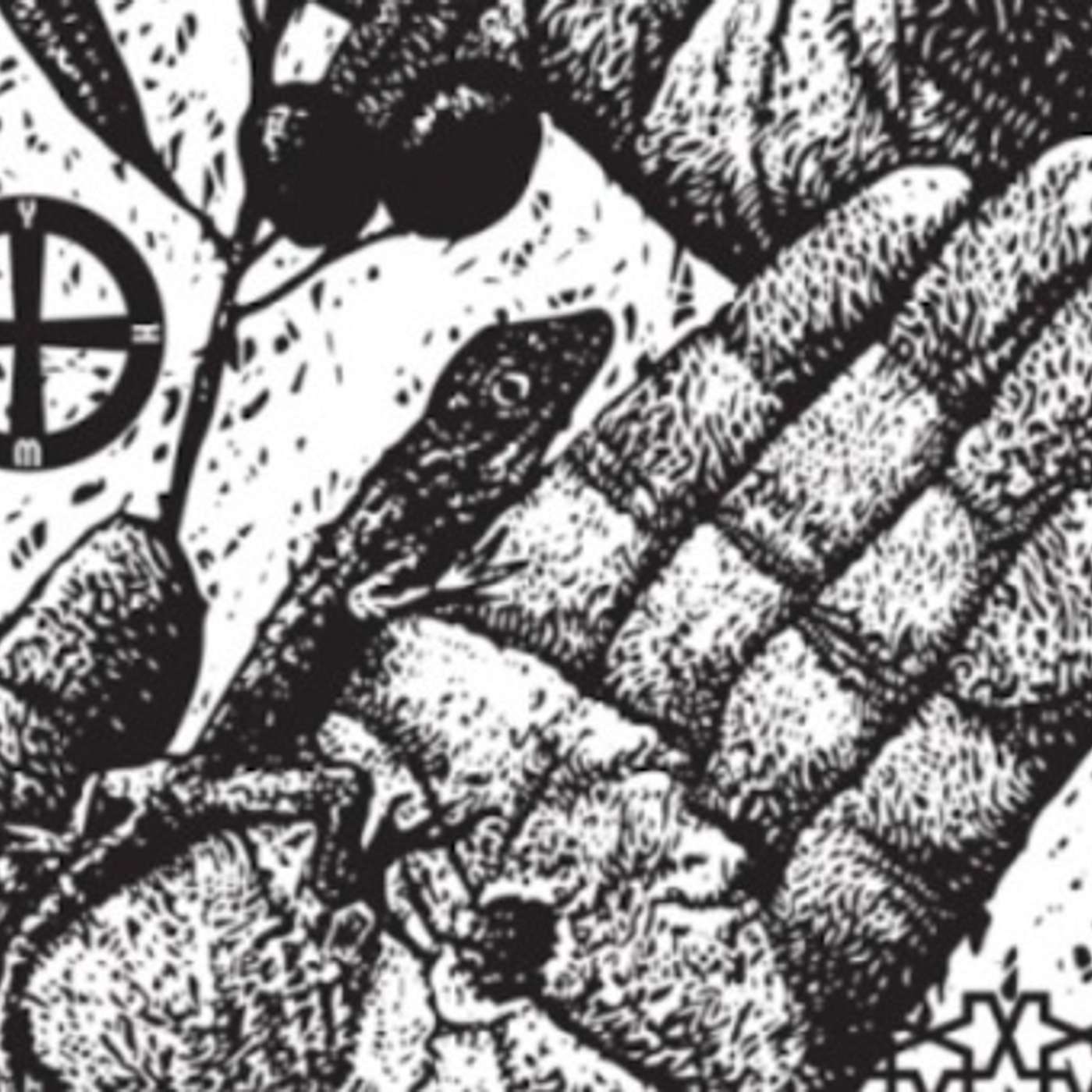 Dreaming the Impossible