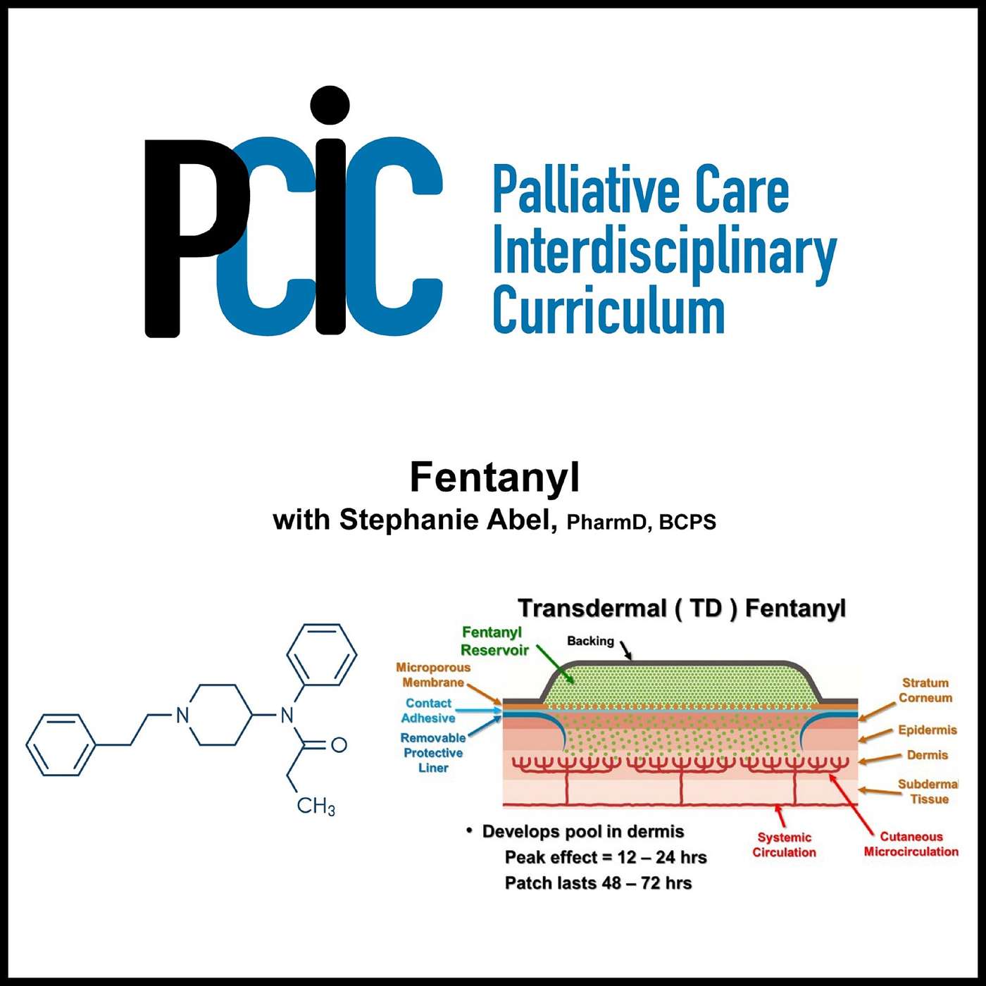 Palliative Care Interdisciplinary  Curriculum