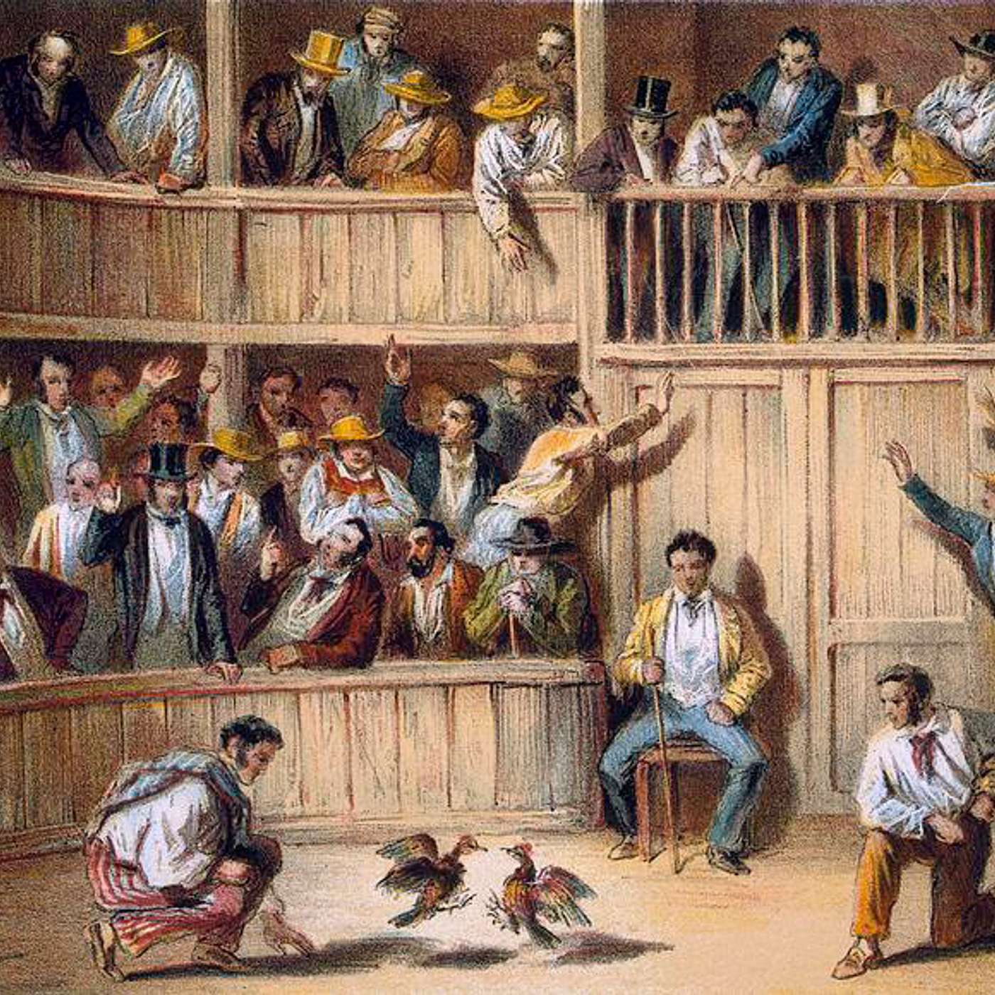 El Gallinero Descabellado: Historias de México