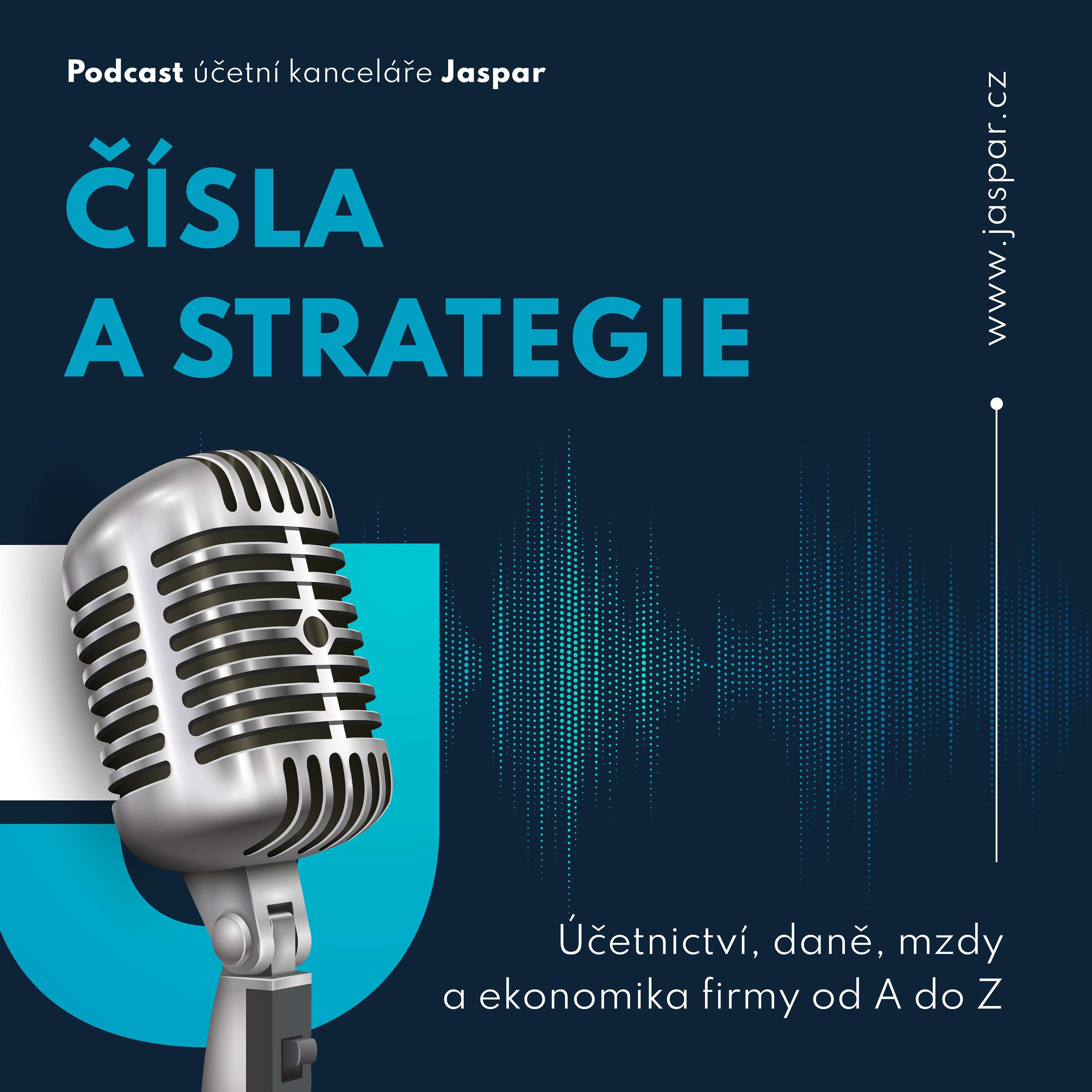 Čísla a strategie: Účetnictví, daně, mzdy a ekonomika firmy od A do Z