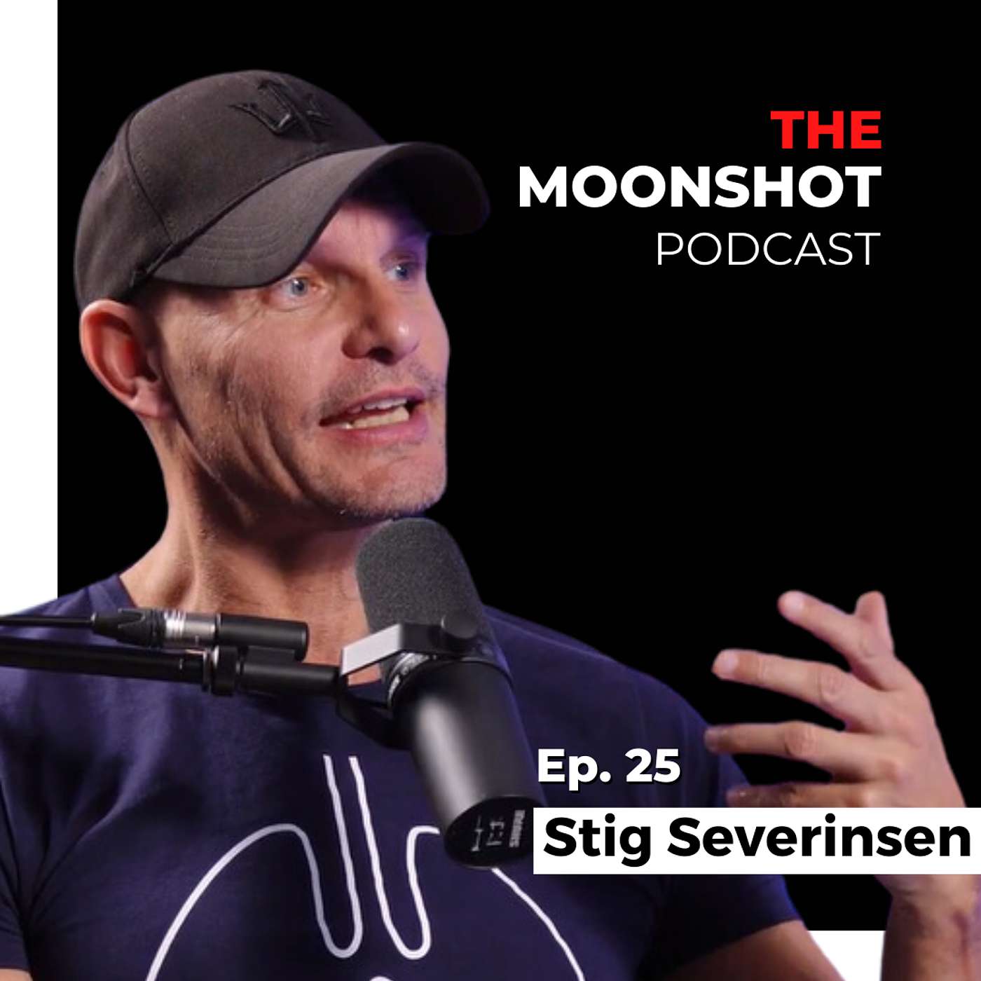 The Moonshot Podcast