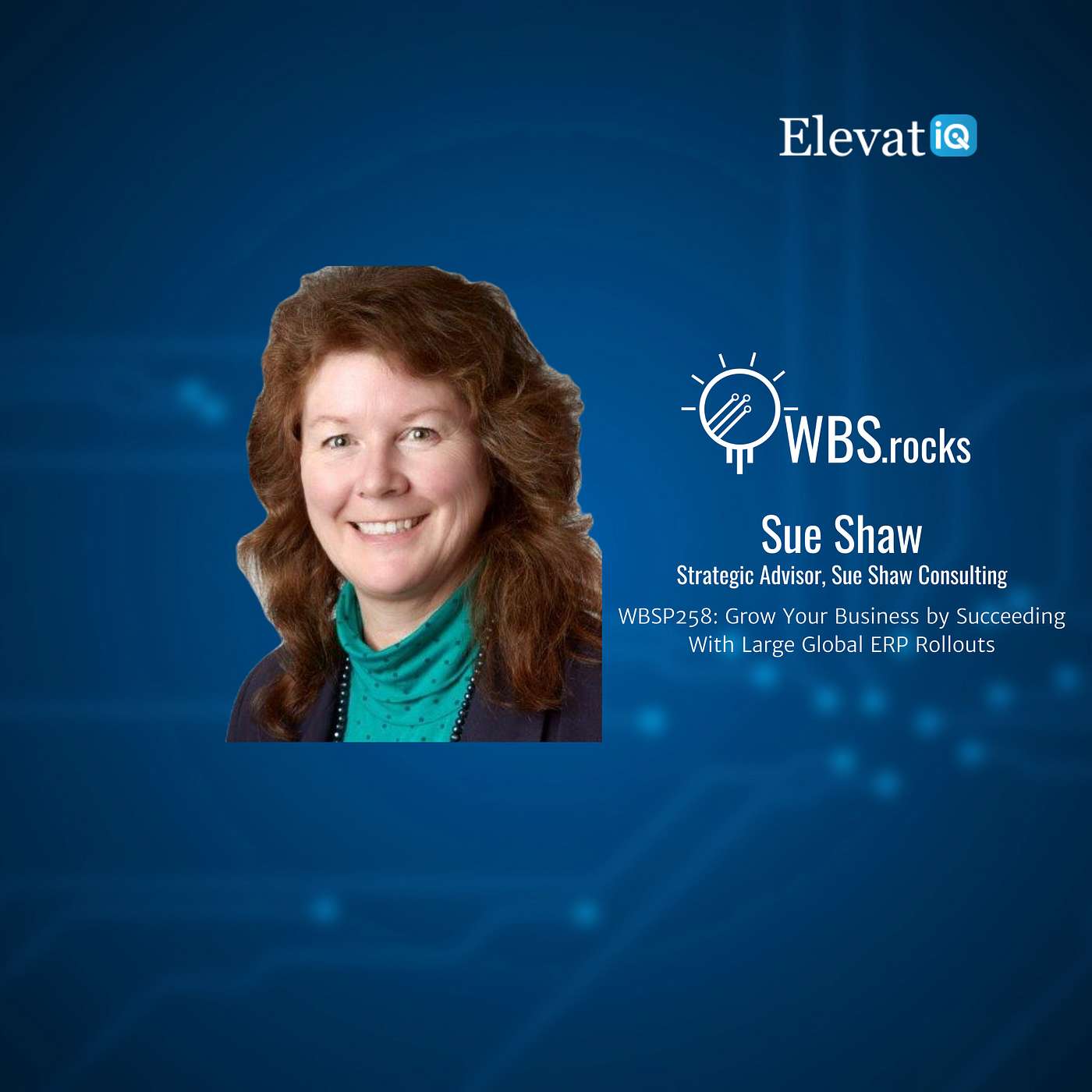 WBSP258: Grow Your Business by Succeeding With Large Global ERP Rollouts w/ Sue Shaw