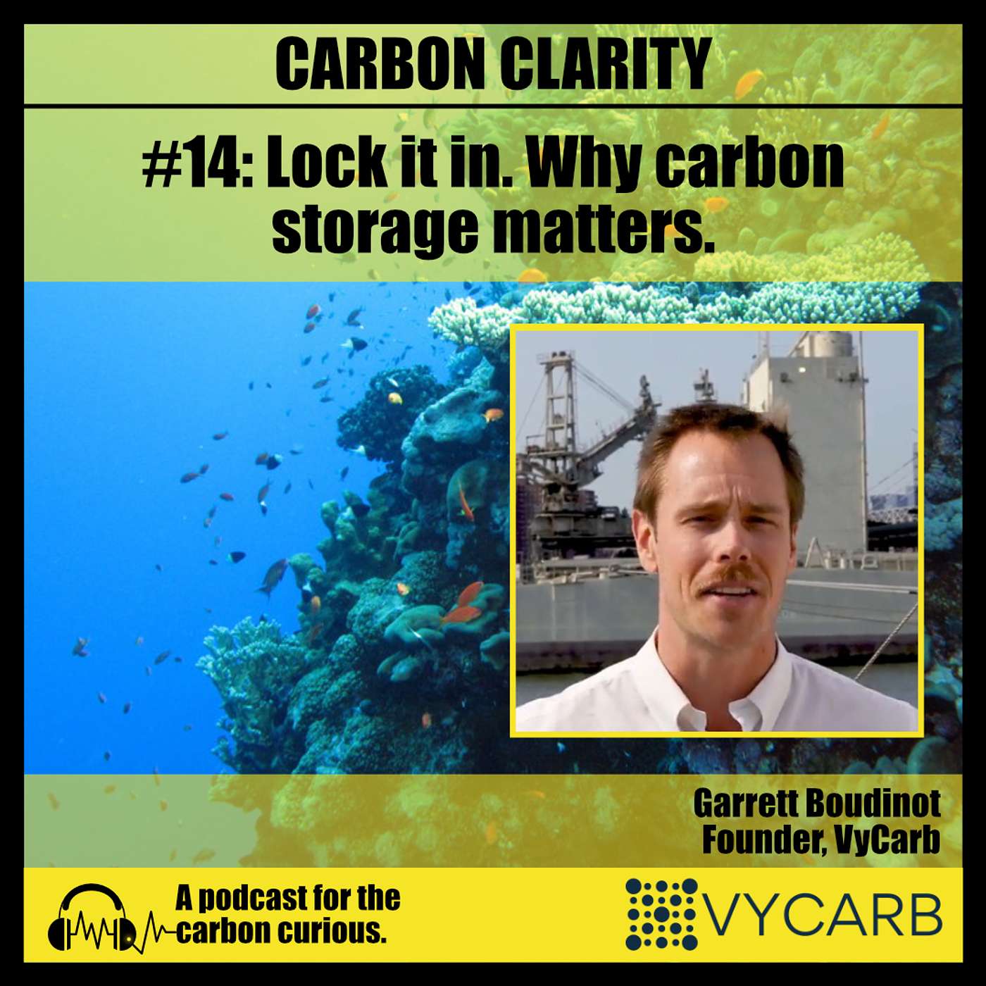 Carbon Clarity