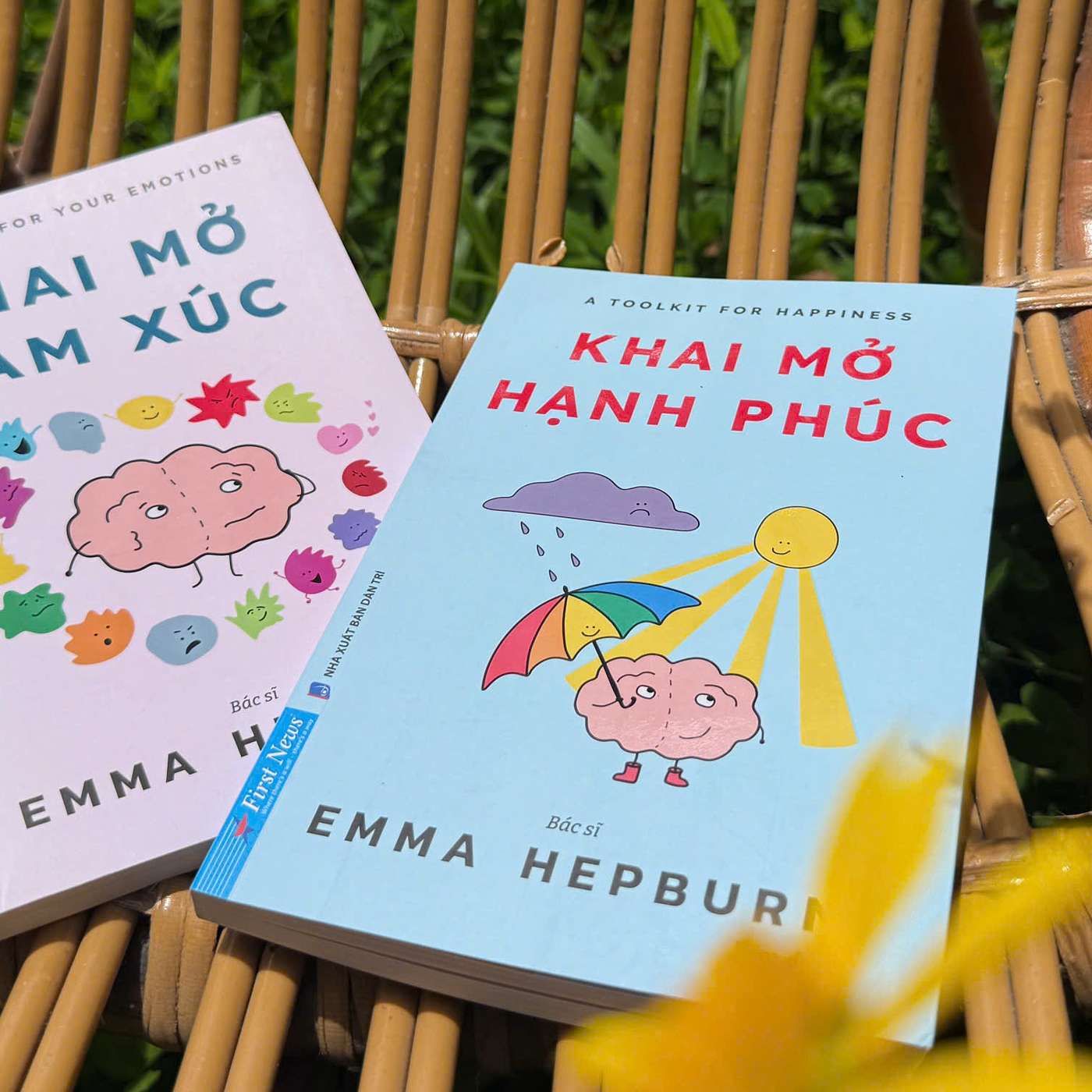 Đọc "Khai mở cảm xúc” và “Khai mở hạnh phúc" để hiểu chiếc tàu lượn cảm xúc và đường cong hạnh phúc