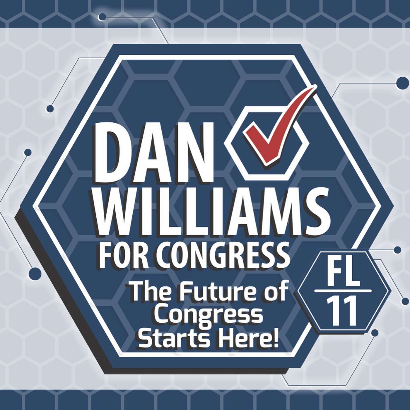Ramon Perez & Dan Williams: Launching Digital Democracy in Florida's 11th — Bald Ambition cover