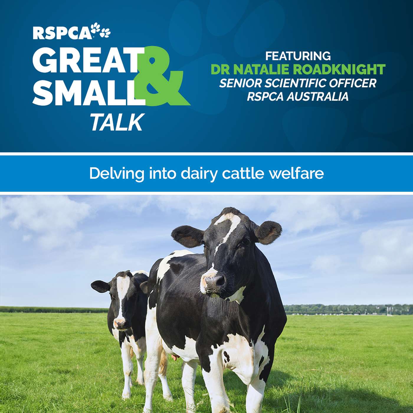 RSPCA Australia\'s Great & Small Talk