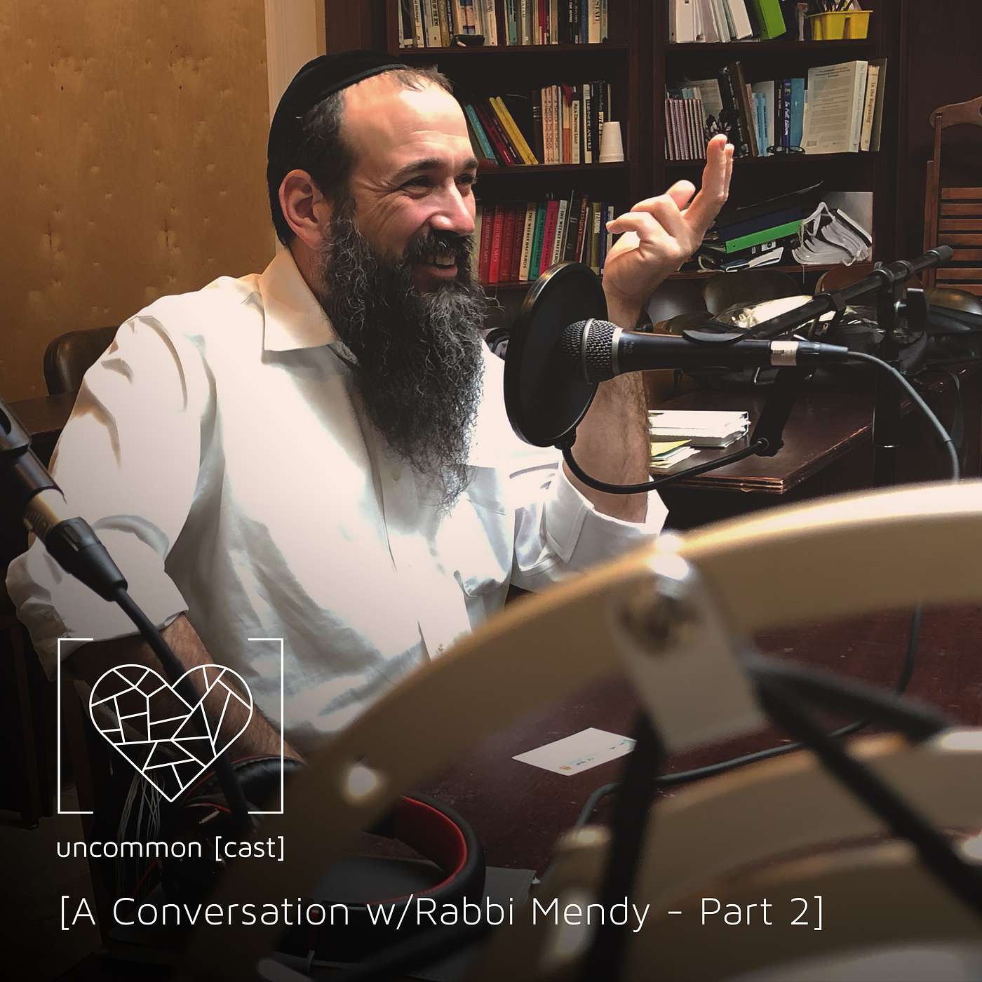 A Conversation with Rabbi Mendy - Part 2