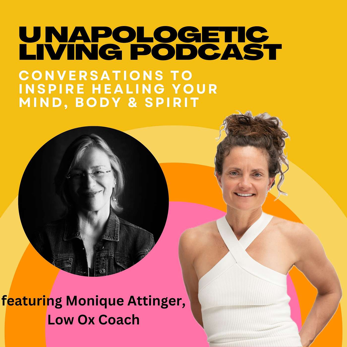 Thrive on a Low Oxalate Diet with Monique Attinger, aka Low Ox Coach episode artwork