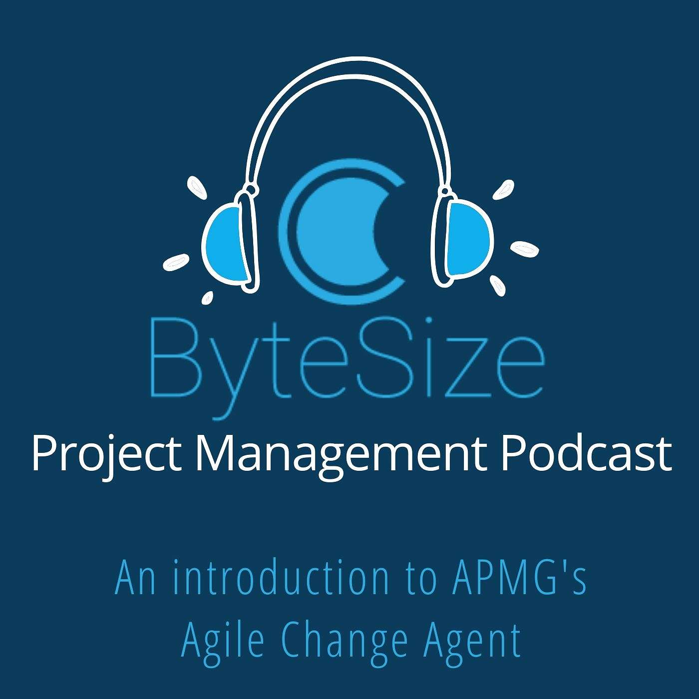 Training ByteSize Project Management - insights, interviews and expertise
