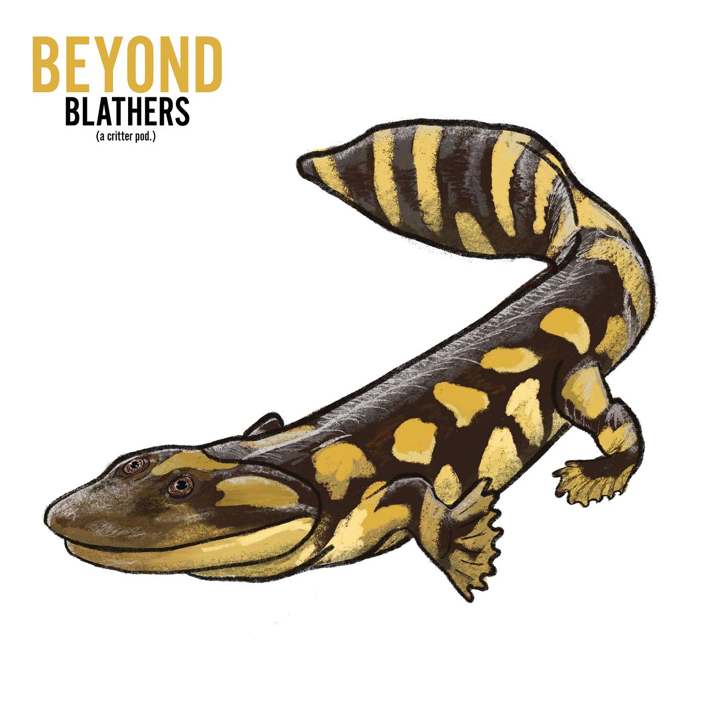 Beyond Blathers