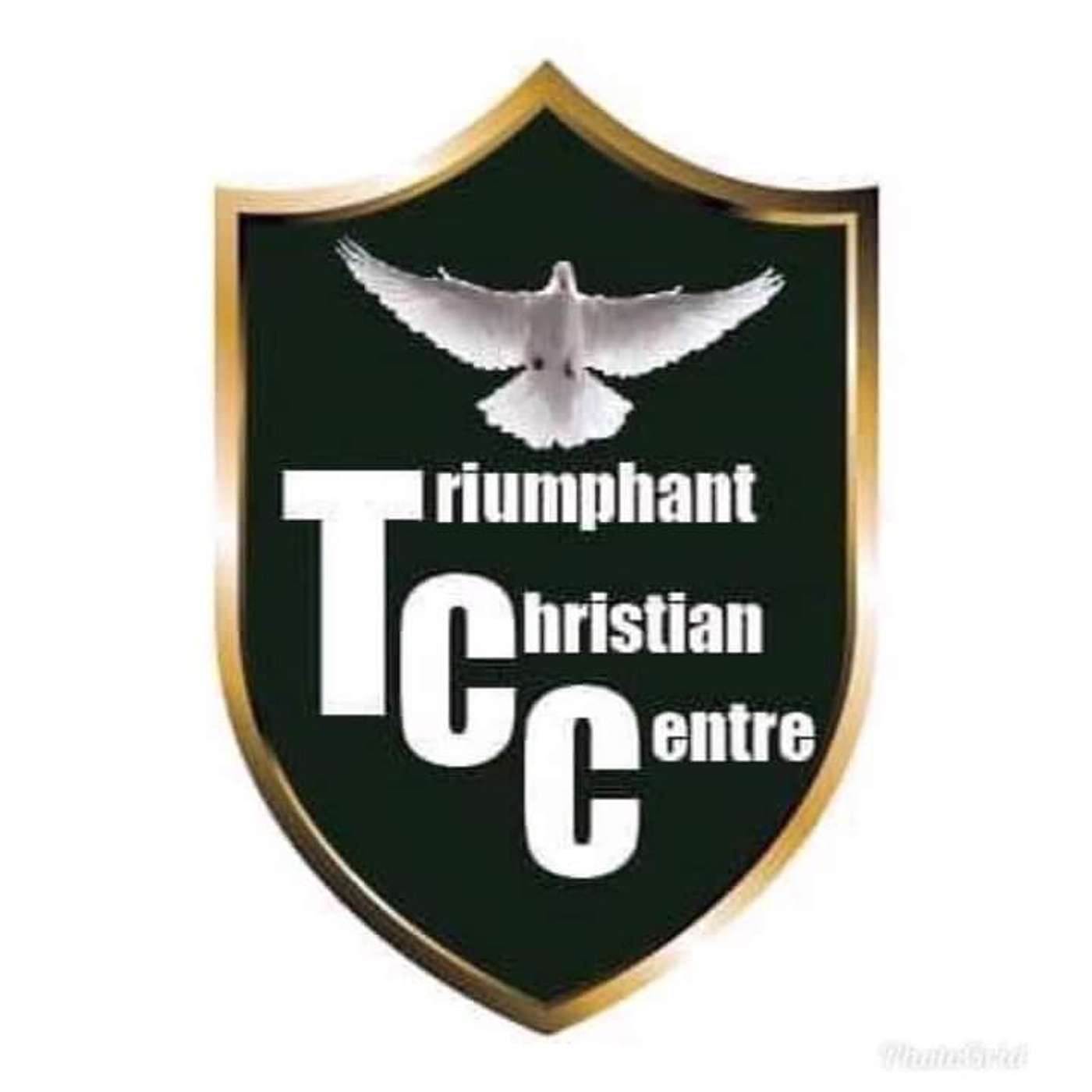 TCC GLOBAL