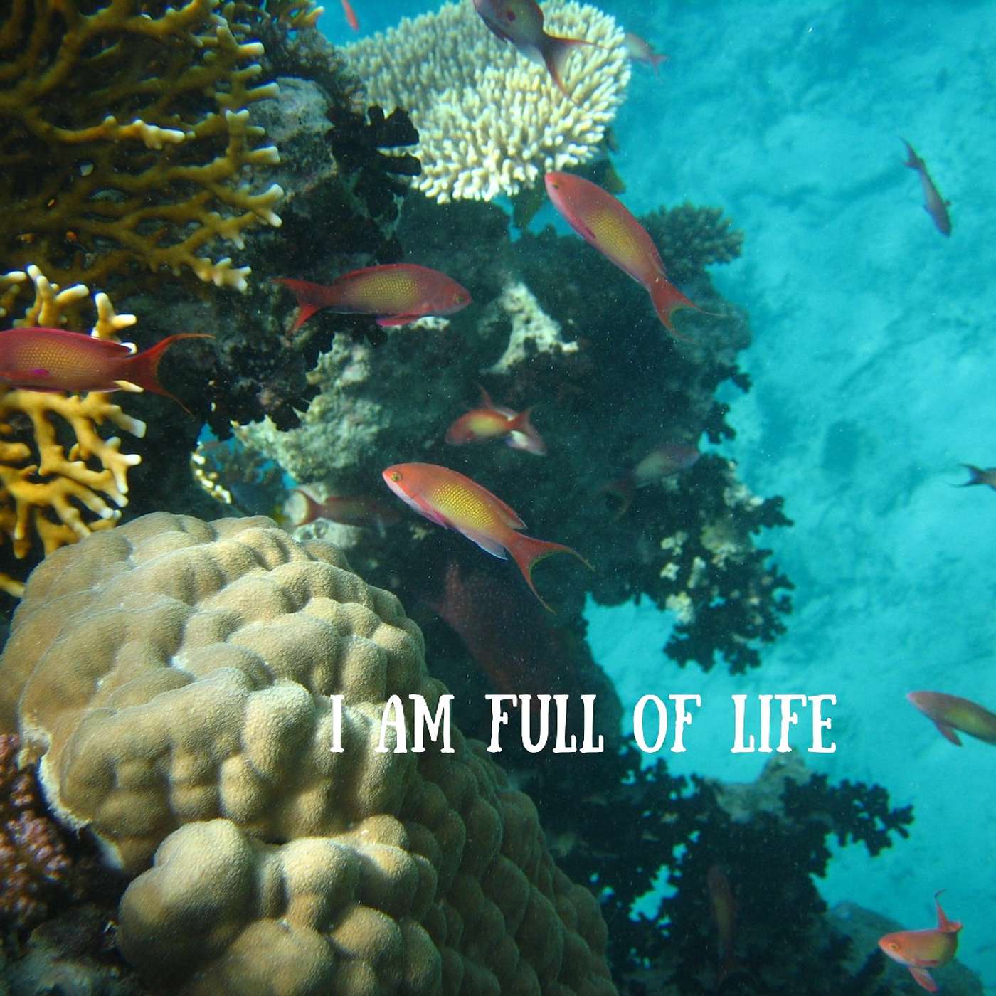 #212 I am full of life episode artwork