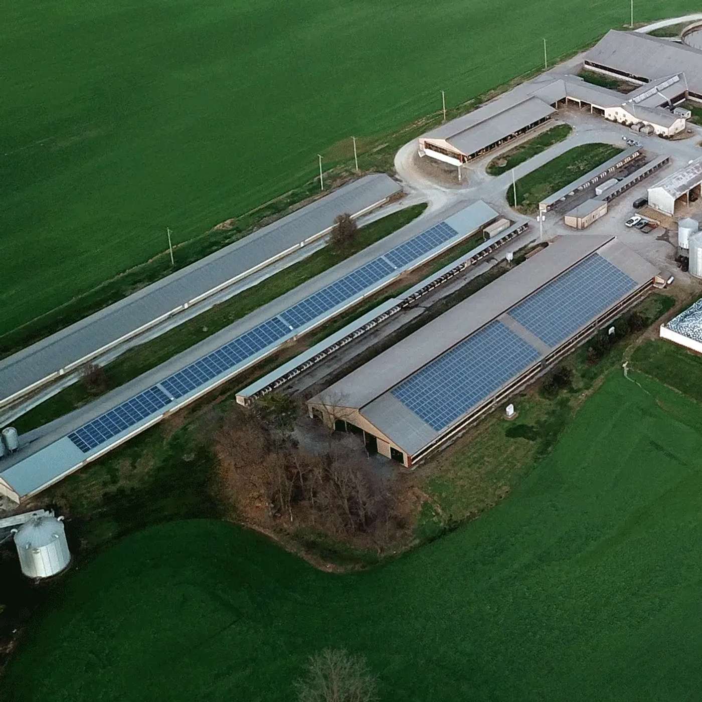 Episode 18.4: Methane Digester and Solar Panels on Farm w/ Josh Brubaker episode artwork