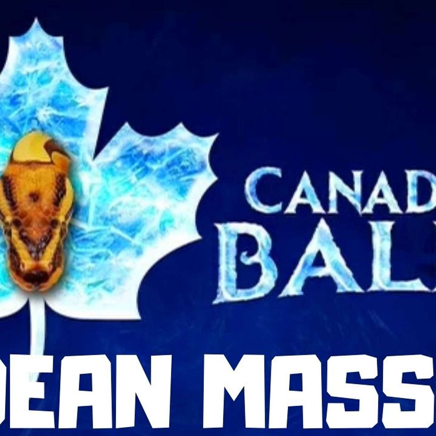 #71 DEAN MASSE OF CANADIAN BALLZ | BALL PYTHON BREEDER | CANADA | TRAP TALK WITH MJ PODCAST