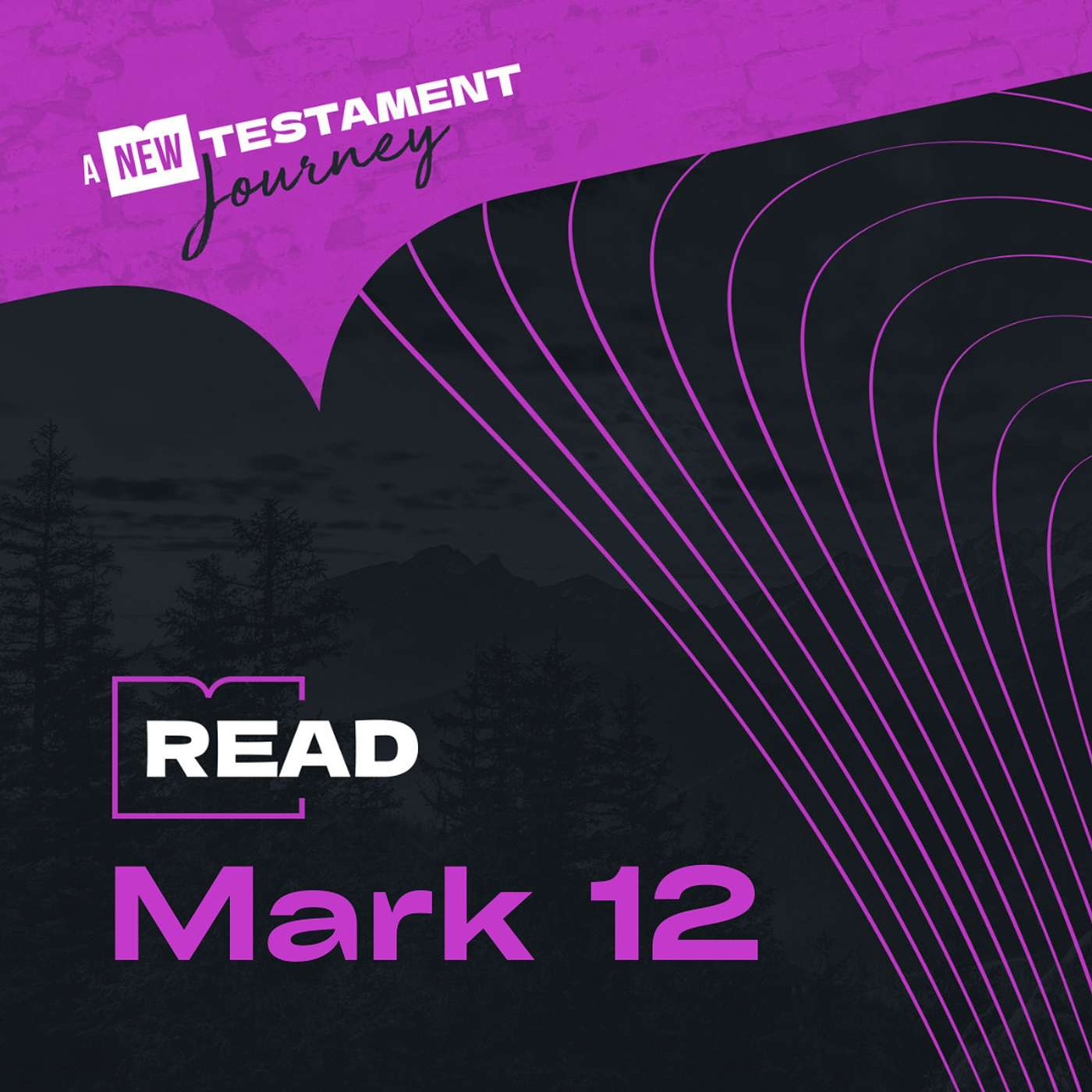 Wednesday 19th April - Mark 12