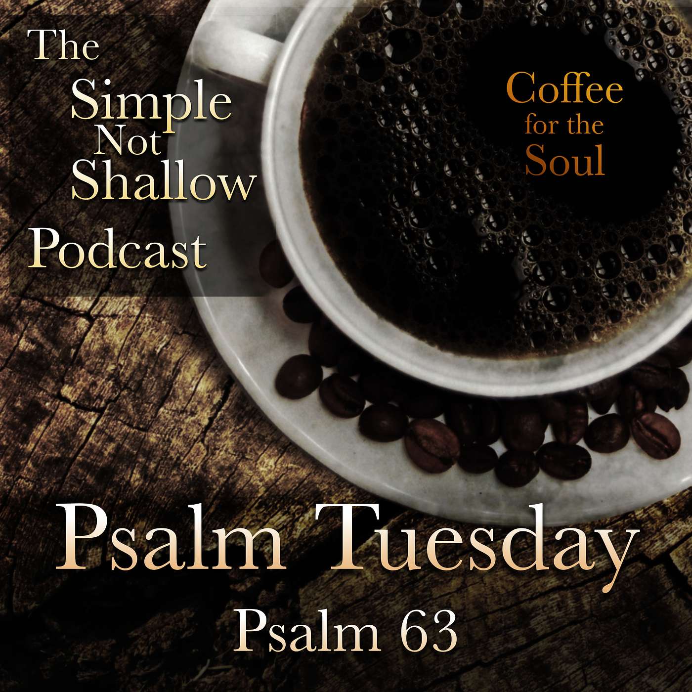 The Simple Not Shallow Podcast