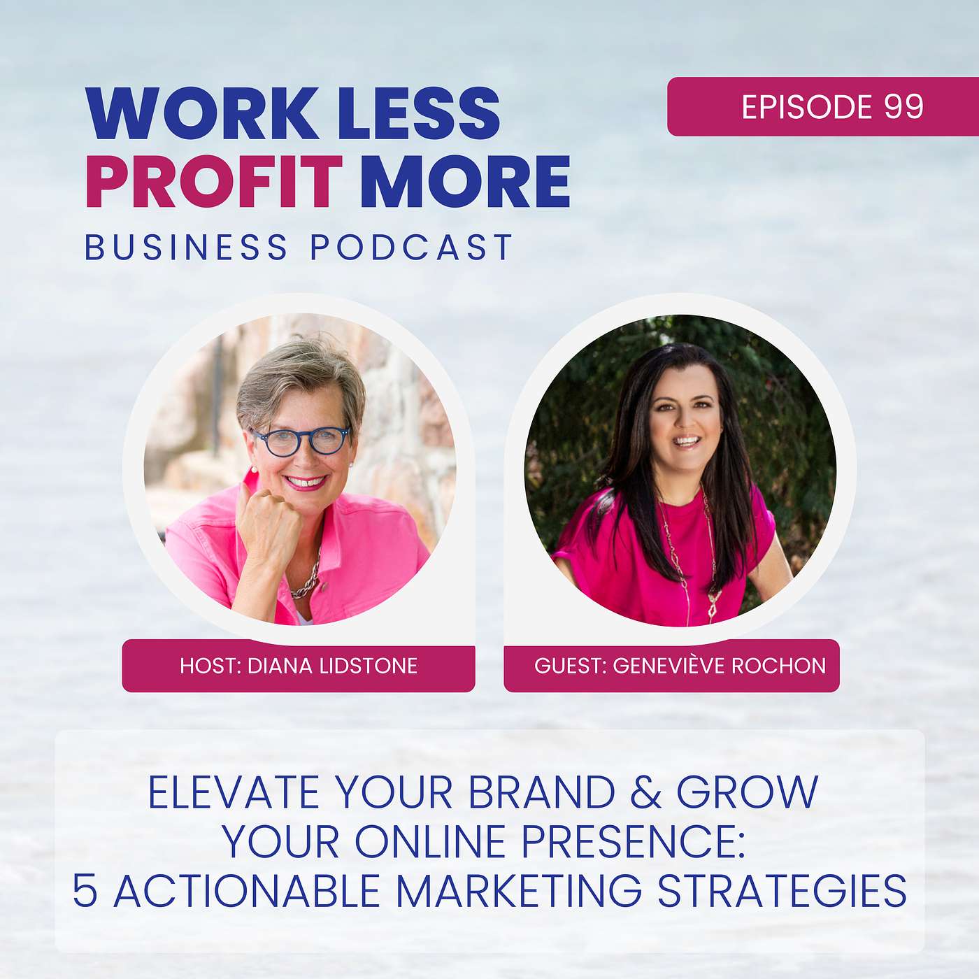 Work Less PROFIT More Business Podcast