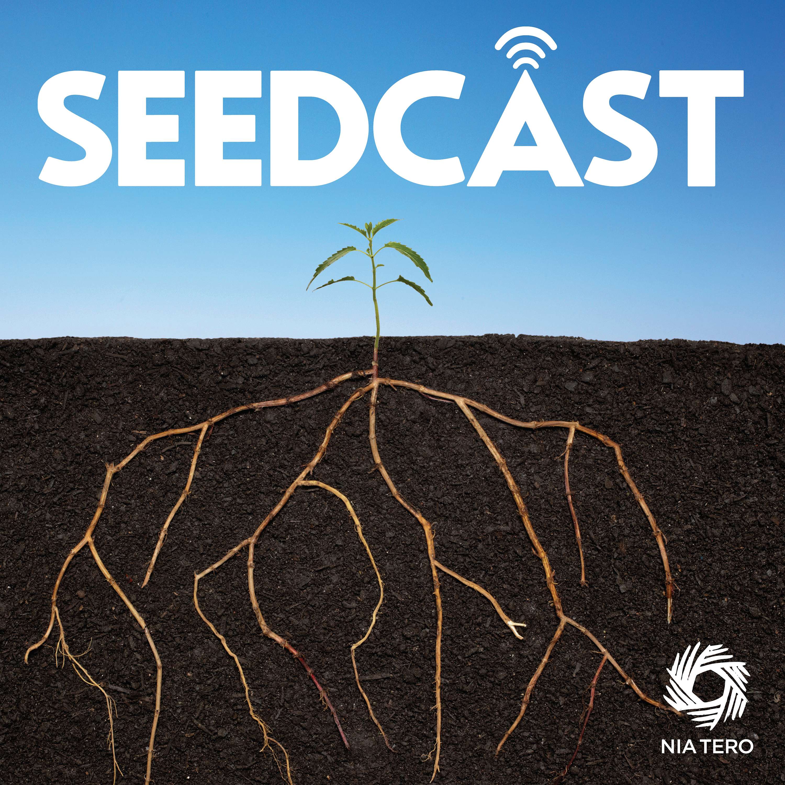 Seedcast Artwork