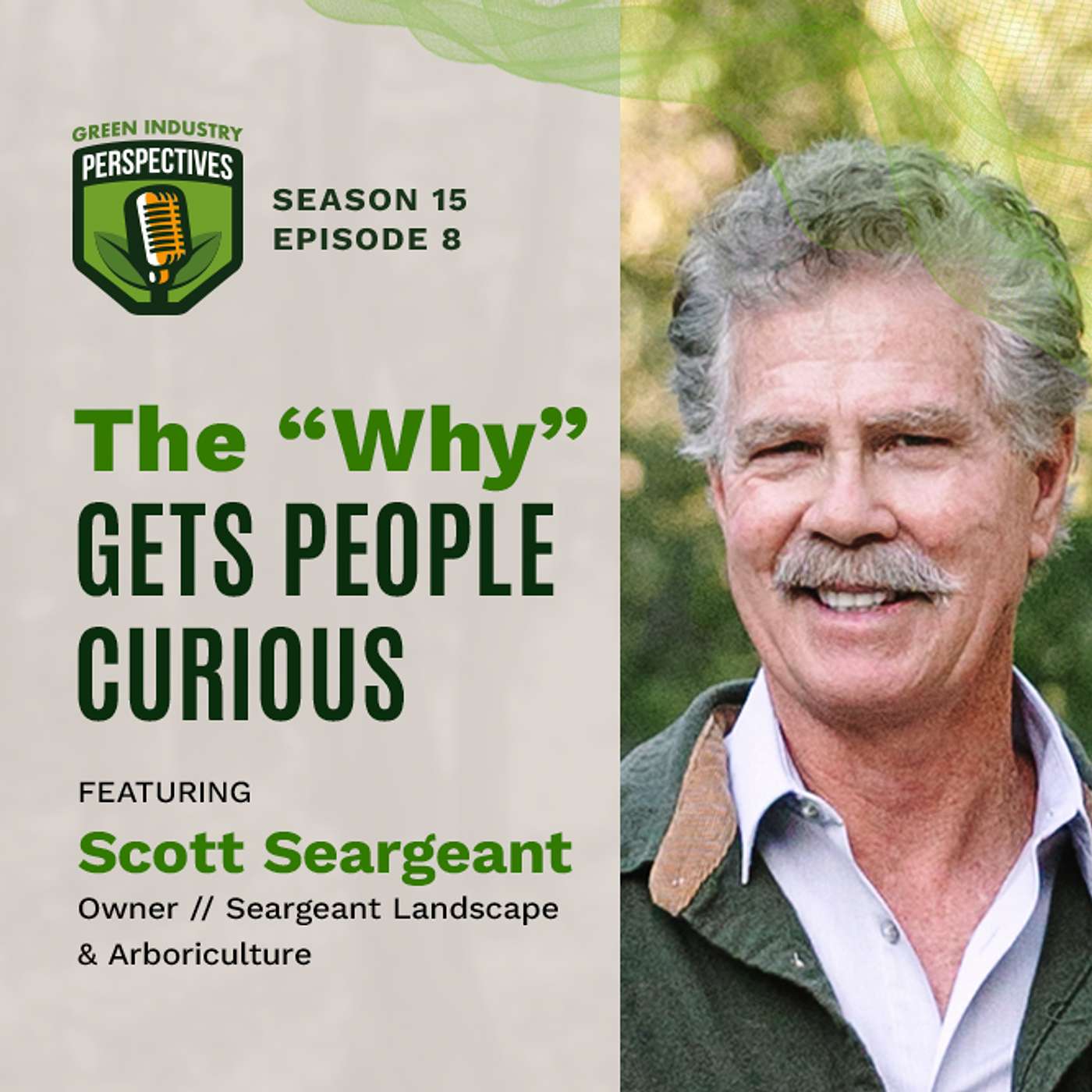 The "Why" Gets People Curious