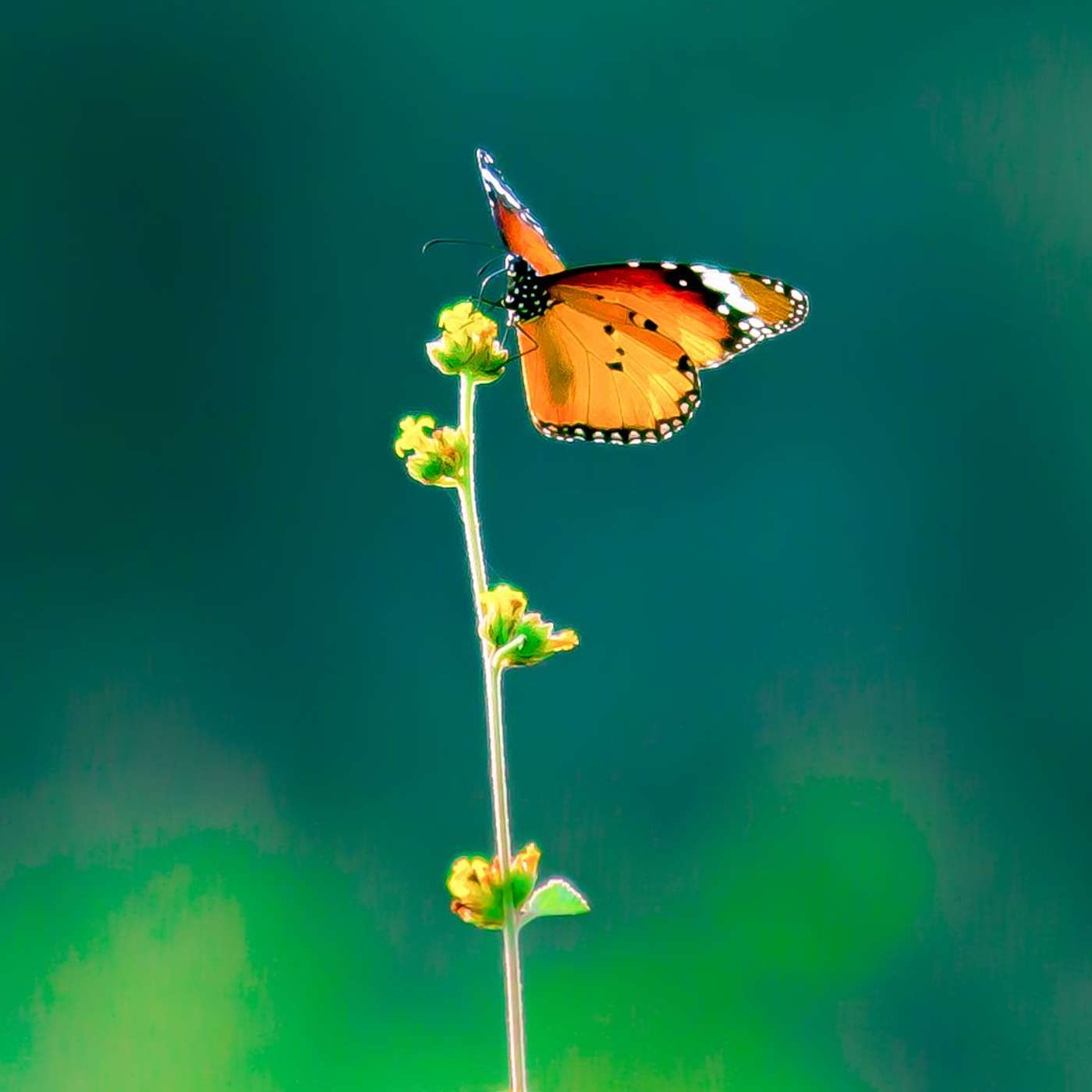 You Are Ready: A Motivational Grounding Practice