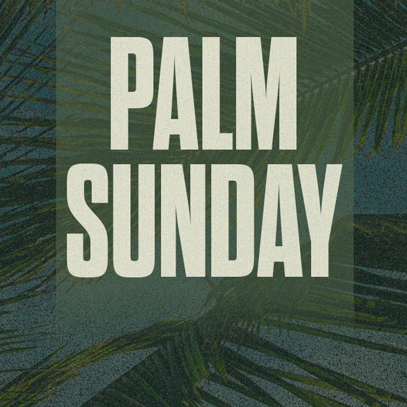 Palm Sunday