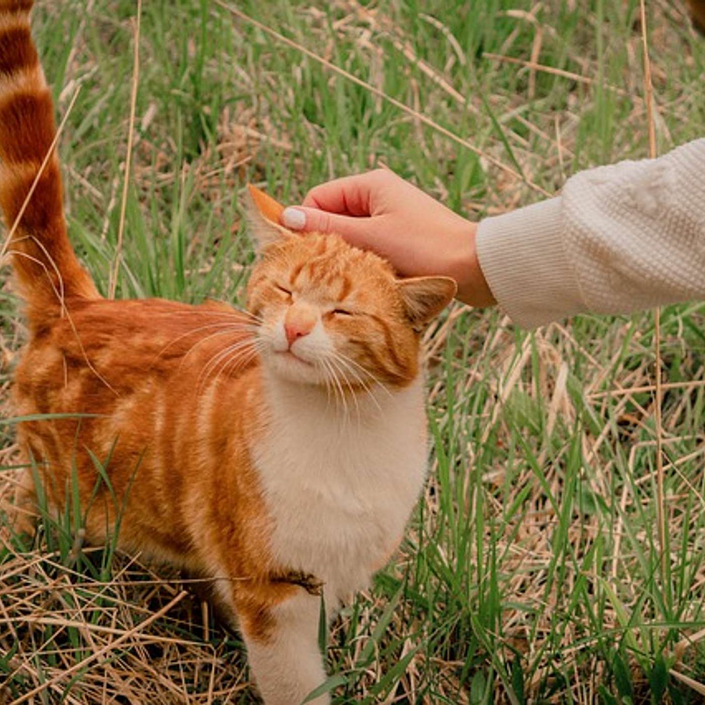 #011 A Simple Act of Kindness
