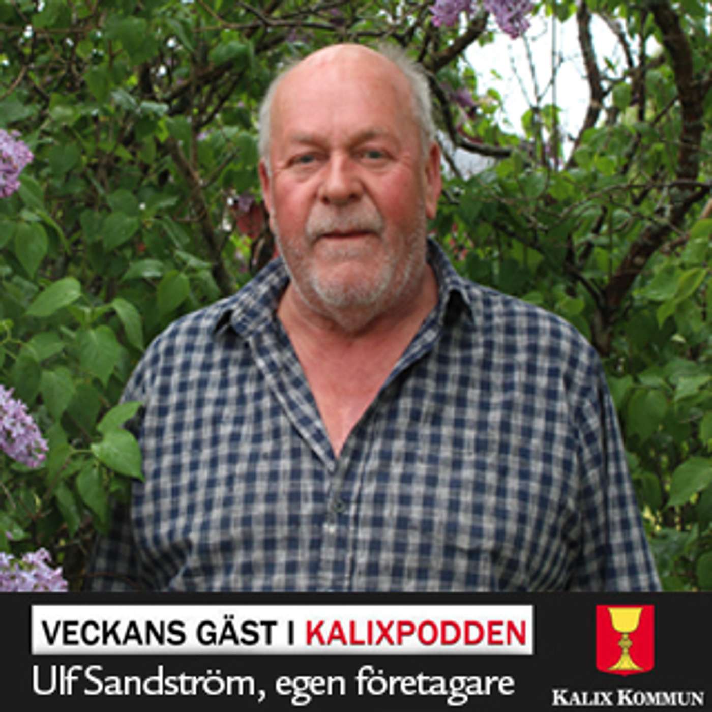 Kalixpodden