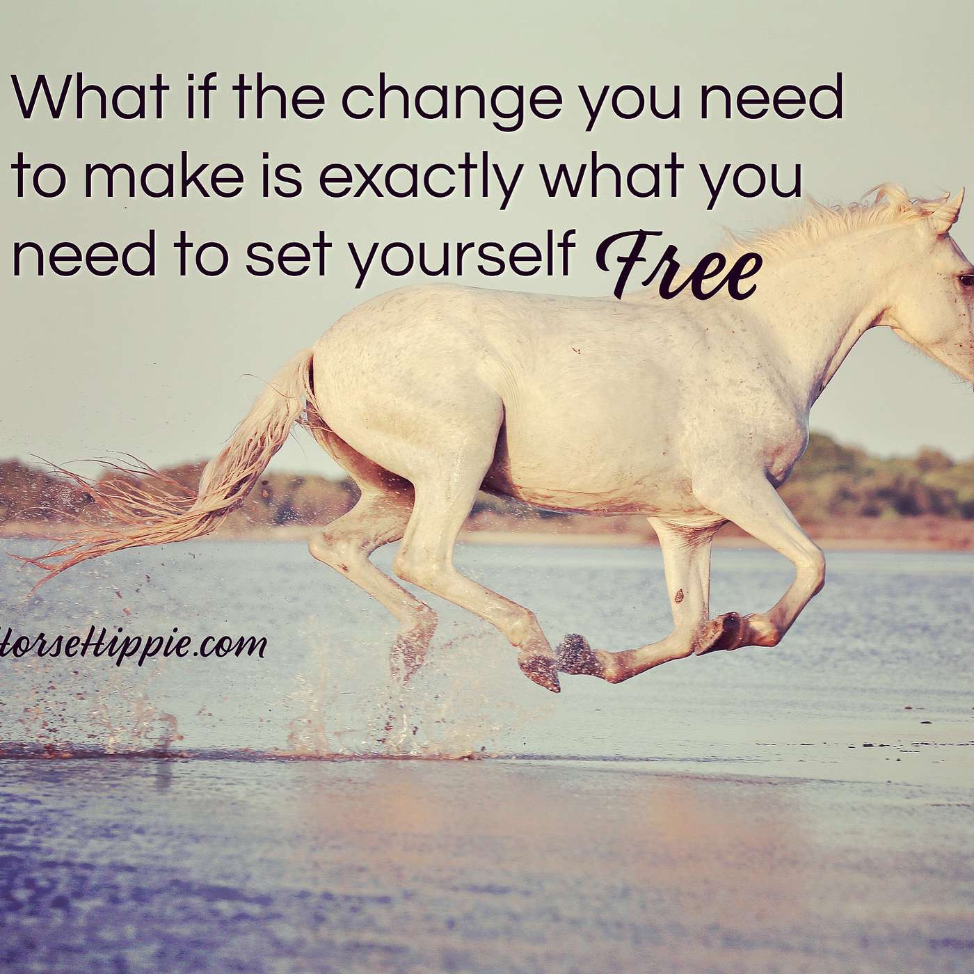 The Change You Need episode artwork