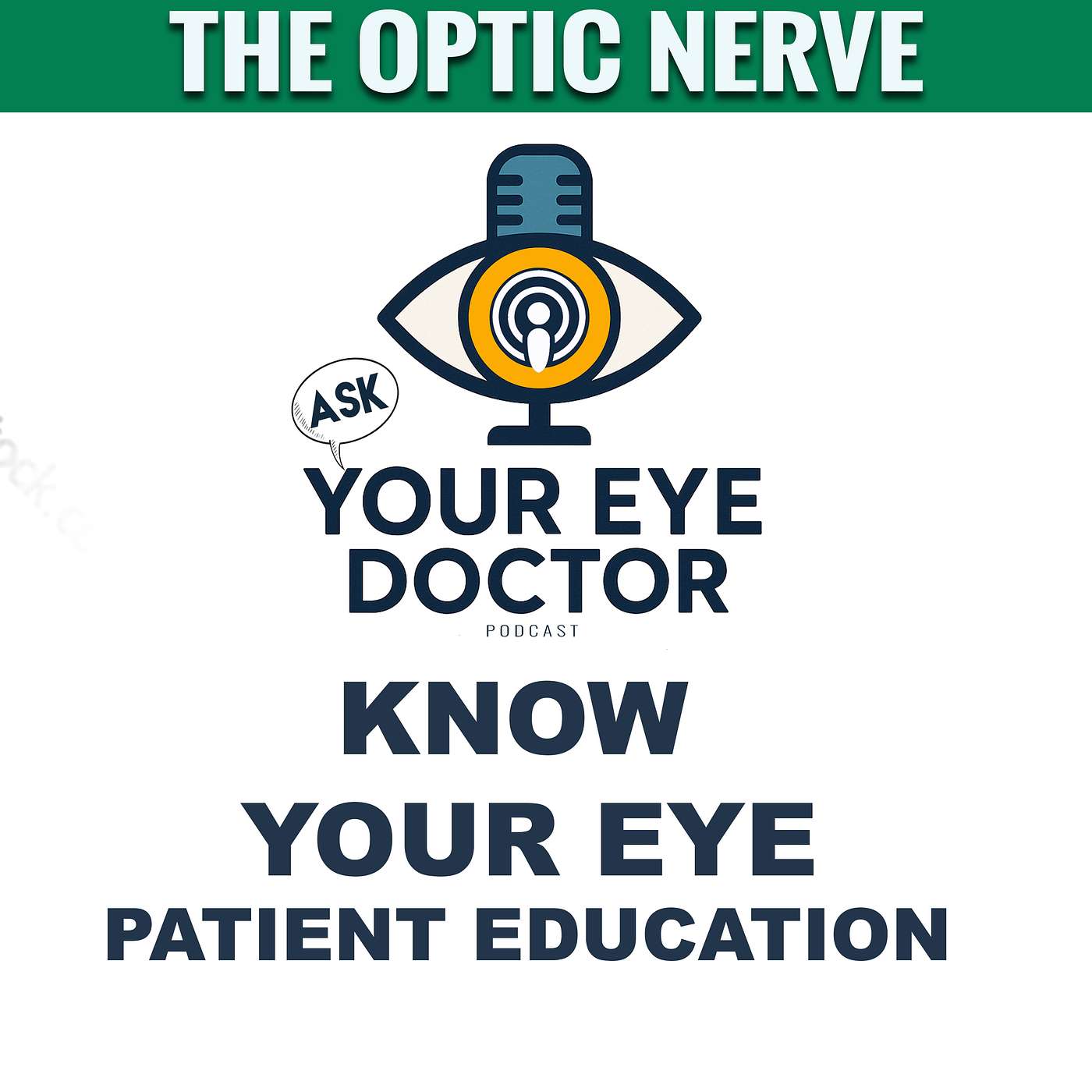 The Optic Nerve Patient Education