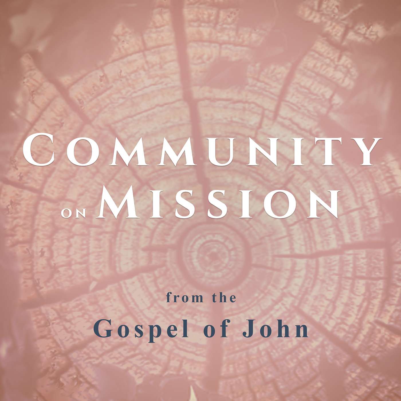Community on Mission | John 12:1-8 (Sunday, August 16, 2026) episode artwork