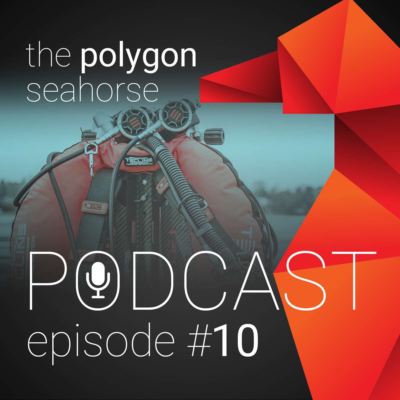 Episode #10: Wrakduiken: Christiaan Huygens • Duiken met een wing • Essential Dive Skills