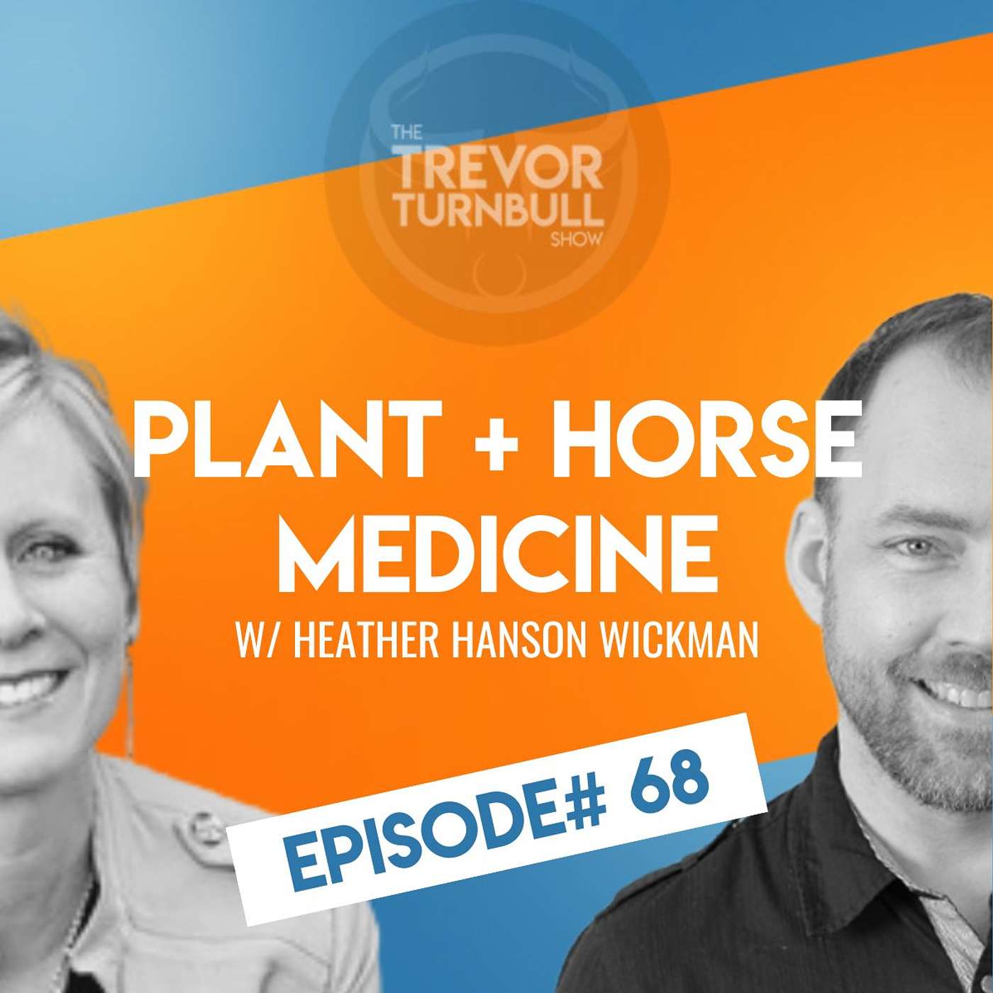 The Trevor Turnbull Show