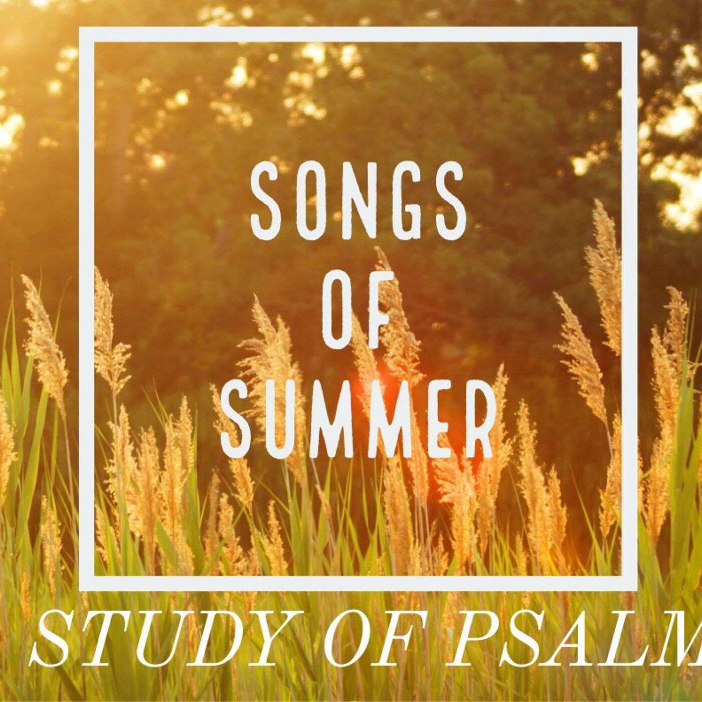 Songs of Summer: How to Say Thank You
