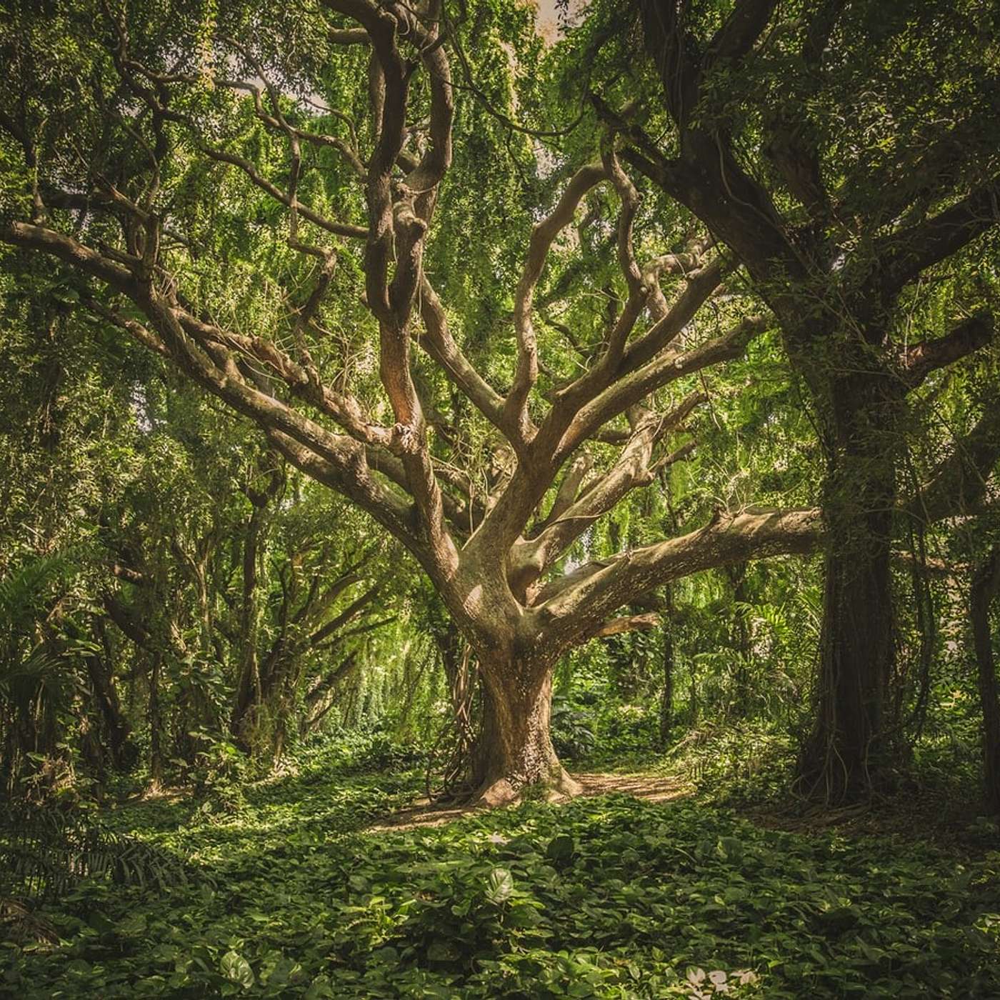 Sunday Service Podcast April 19th  – The Call of Gaia