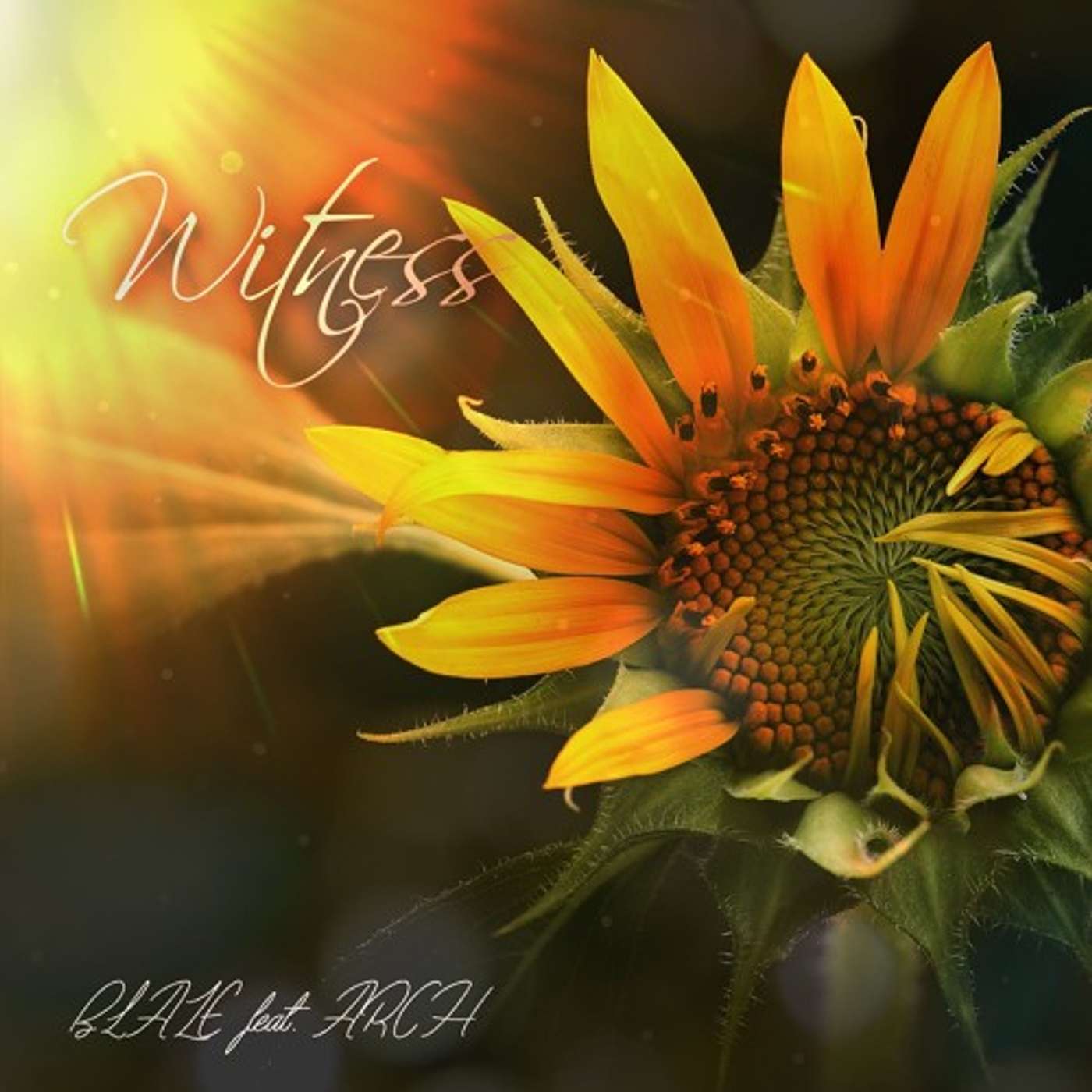 Witness - Blaze (ft). ARCH