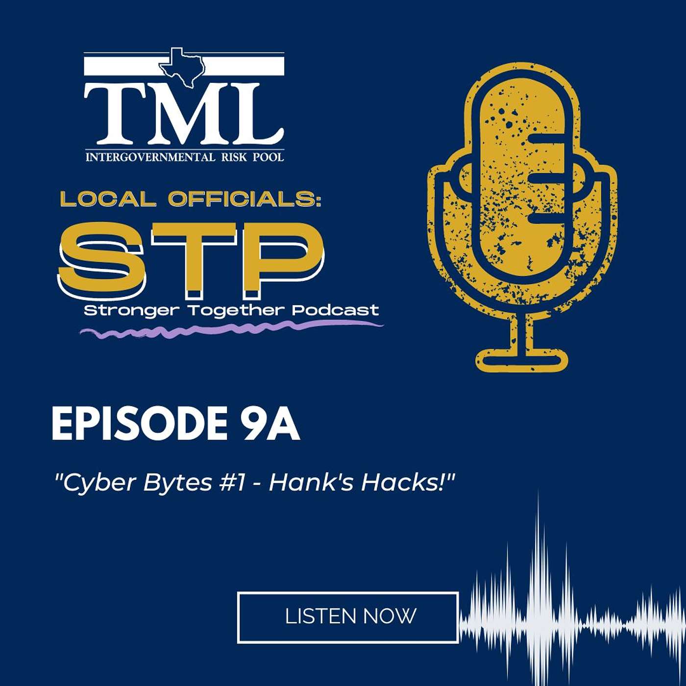 Local Officials: Stronger, Together Podcast