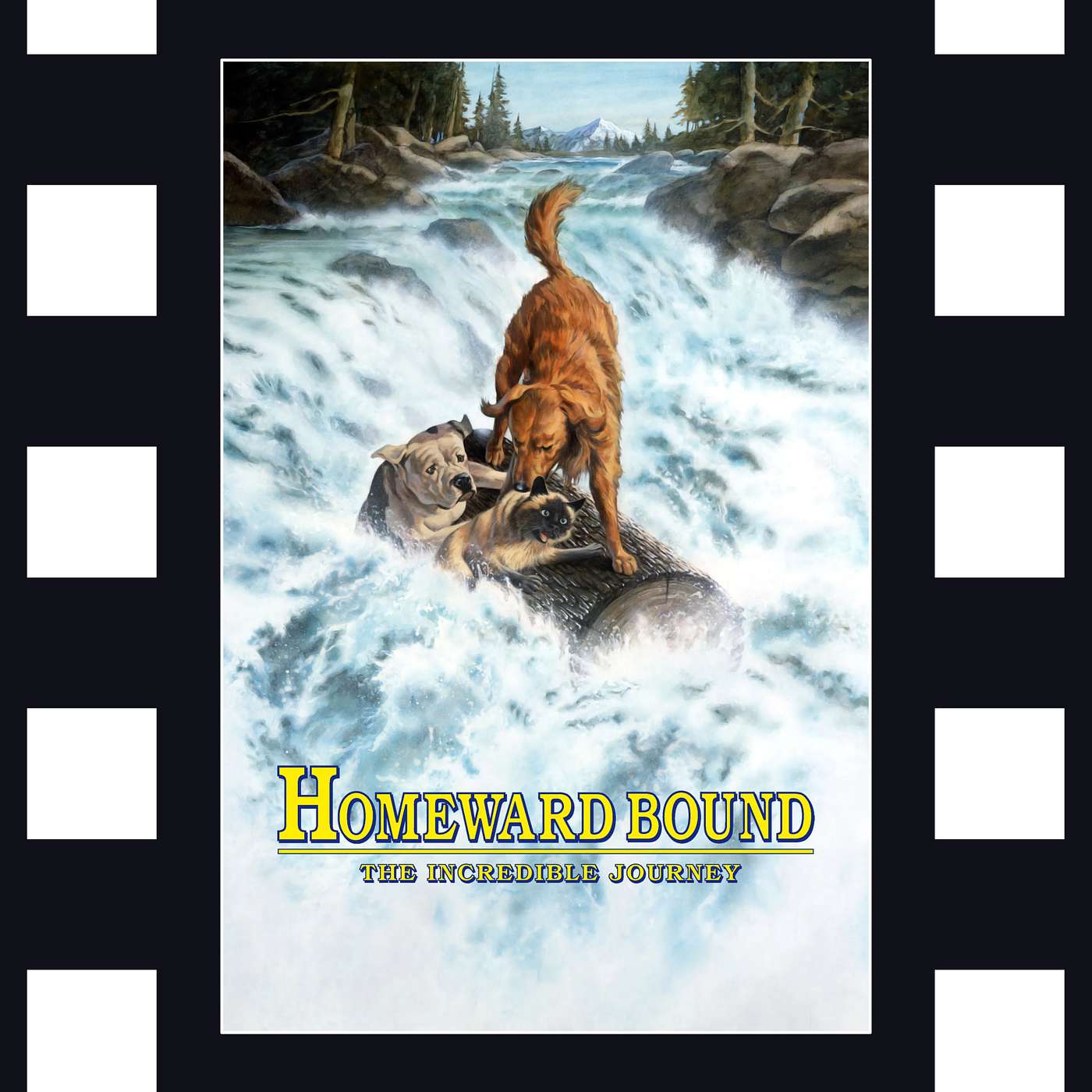 Homeward Bound: The Incredible Journey - On Kids Movies