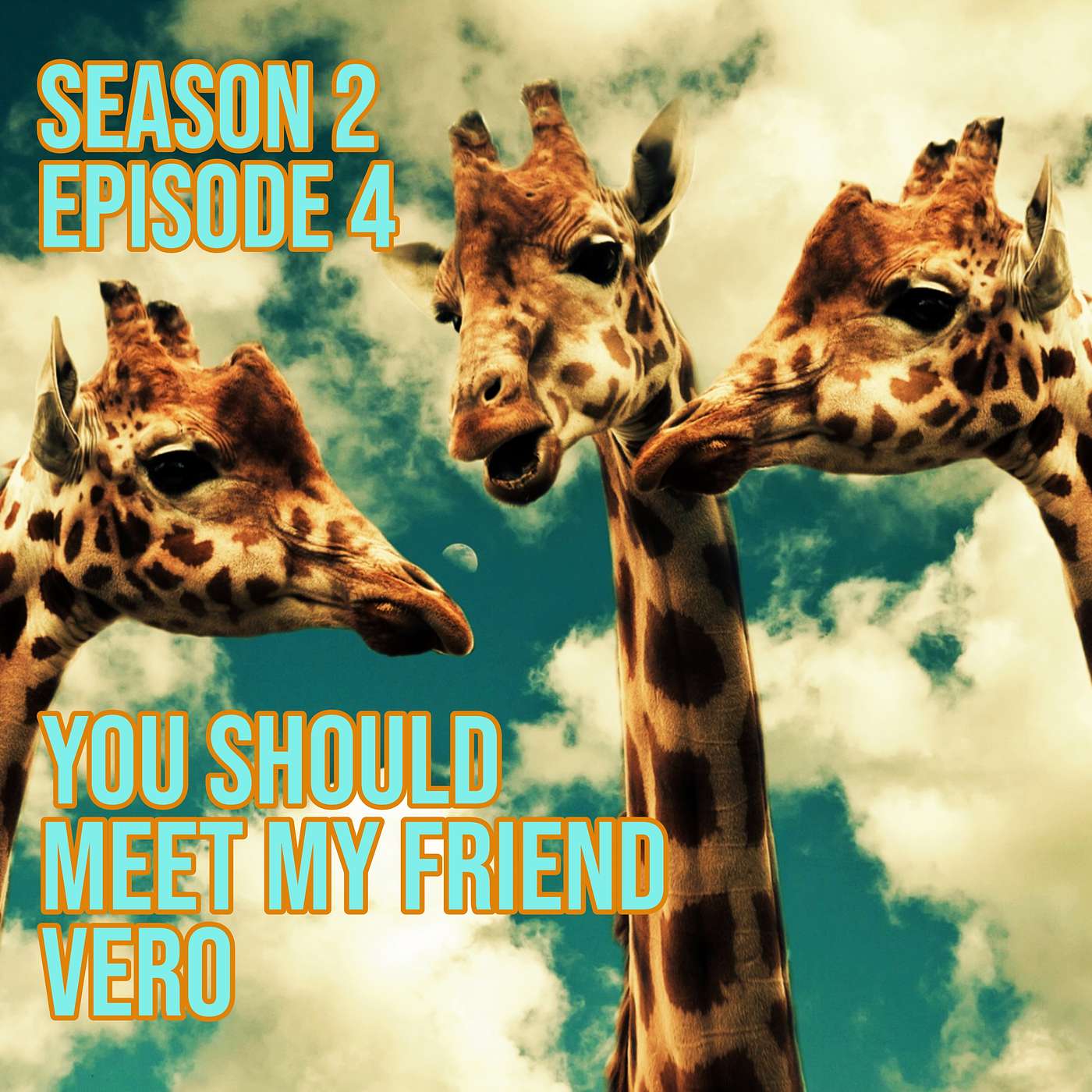 You Should Meet My Friend Vero