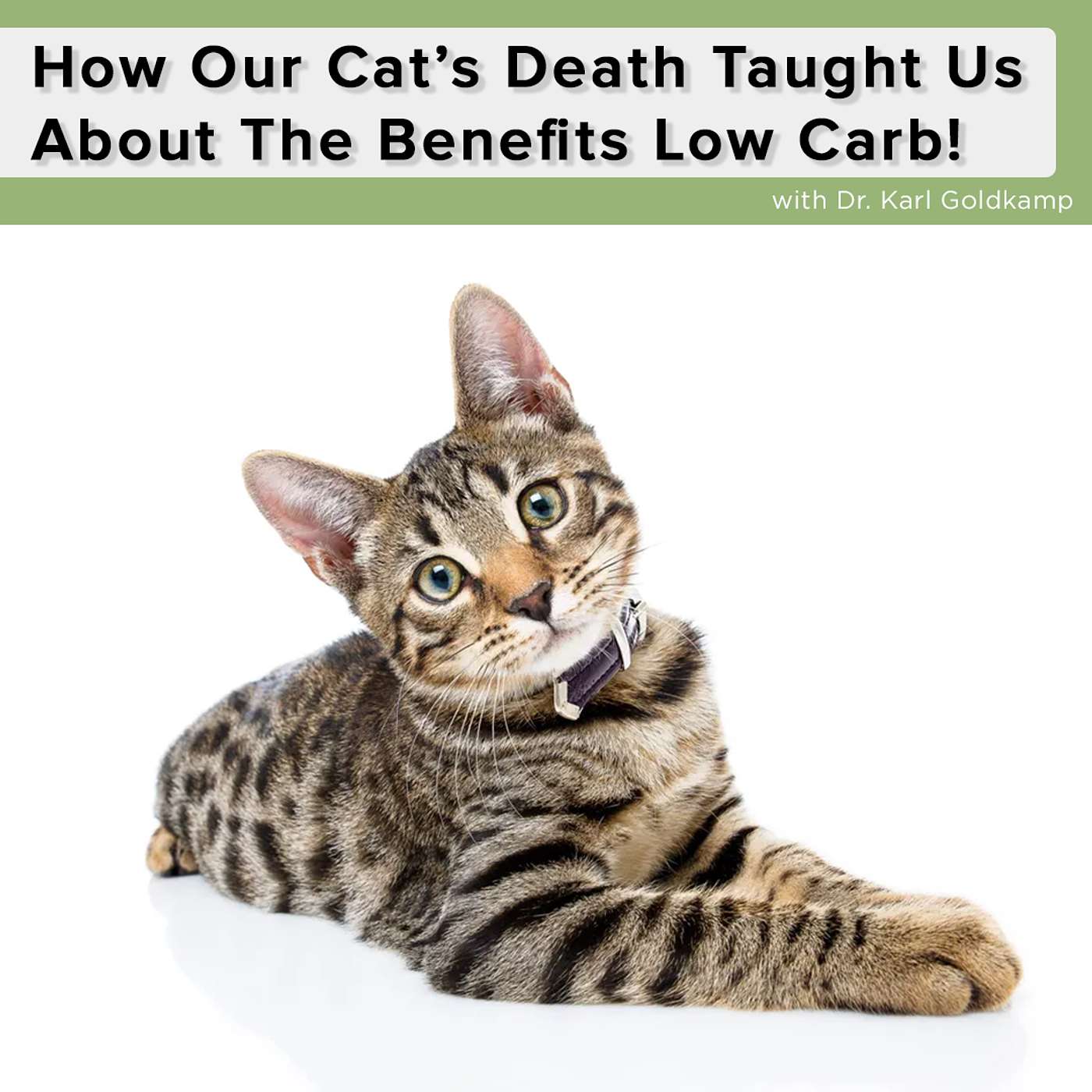 How Our Cat’s Death Taught Us About The Benefits Low Carb in Humans More Than Anything Else We’ve Ever Done episode artwork