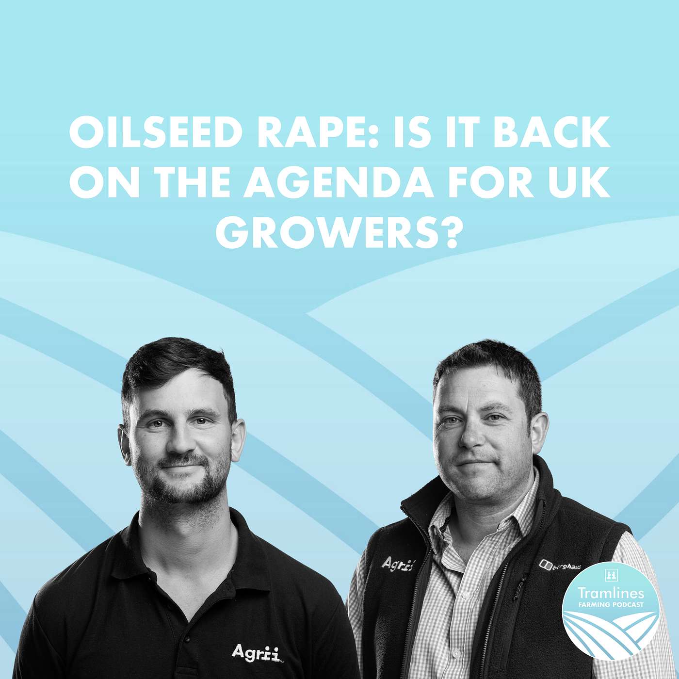 Oilseed Rape: Is It Back on the Agenda for UK Growers? episode artwork