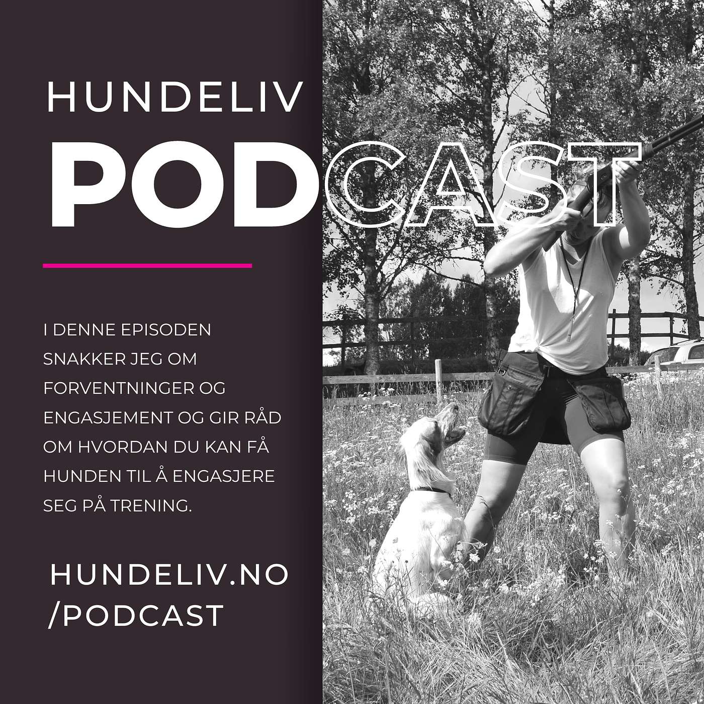 ET HUNDELIV